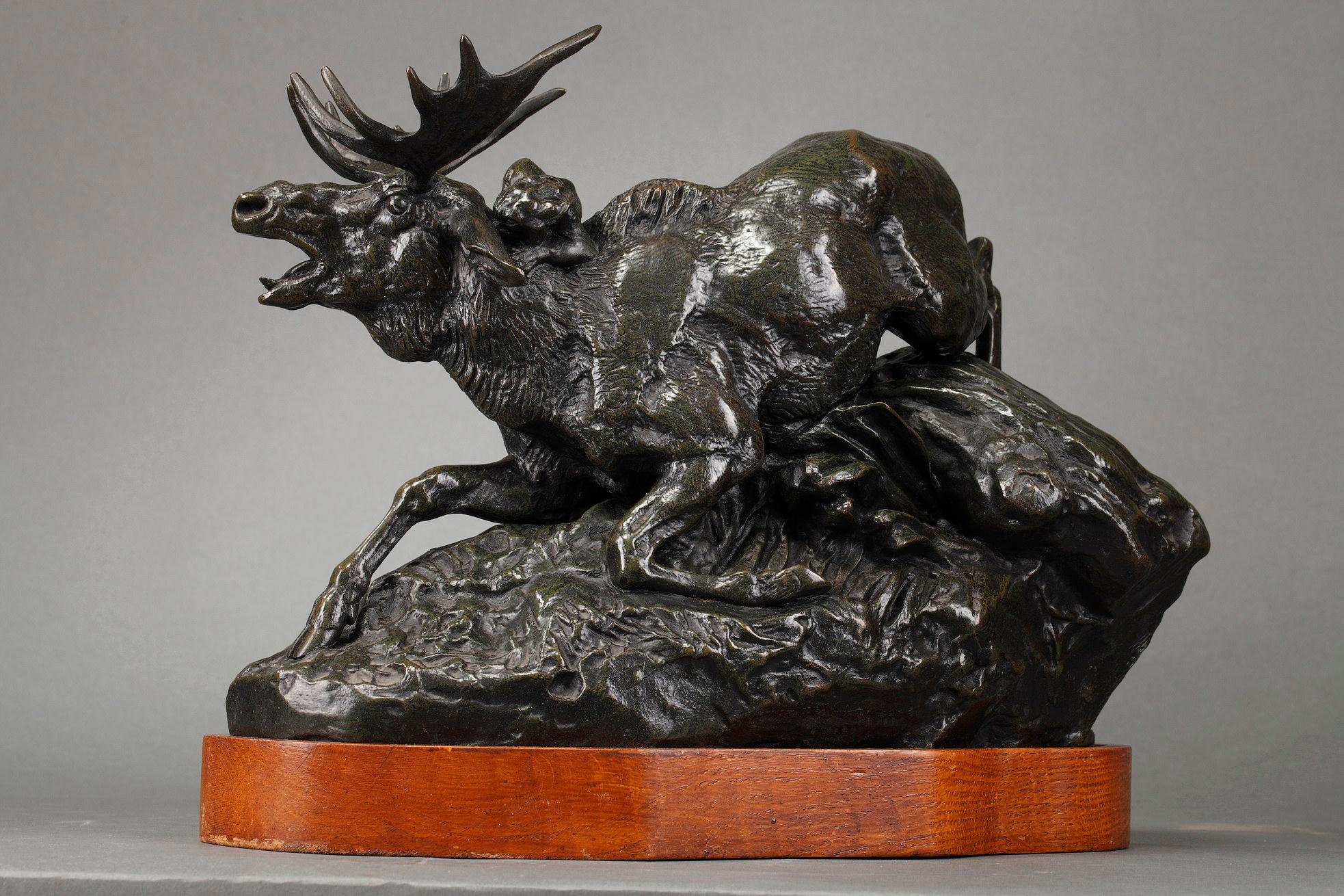 Elk surprised by a Lynx For Sale 3