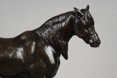 Half-blood Horse, head raised