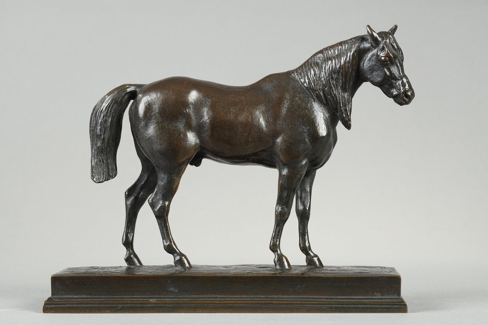 Cheval demi-sang, tête levée - École française Sculpture par Antoine-Louis Barye
