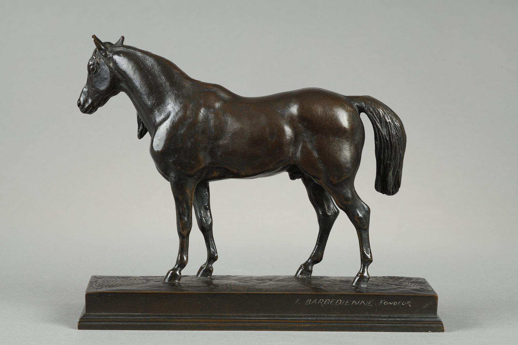 Cheval demi-sang, tête levée en vente 1