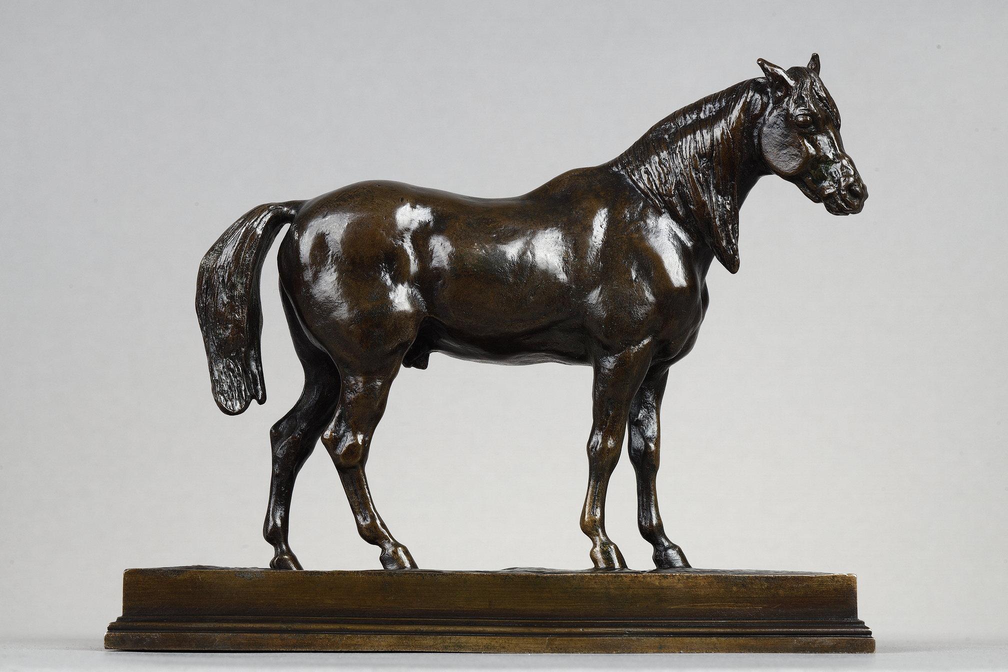 Antoine-Louis Barye Figurative Sculpture - Half-blood Horse, head raised