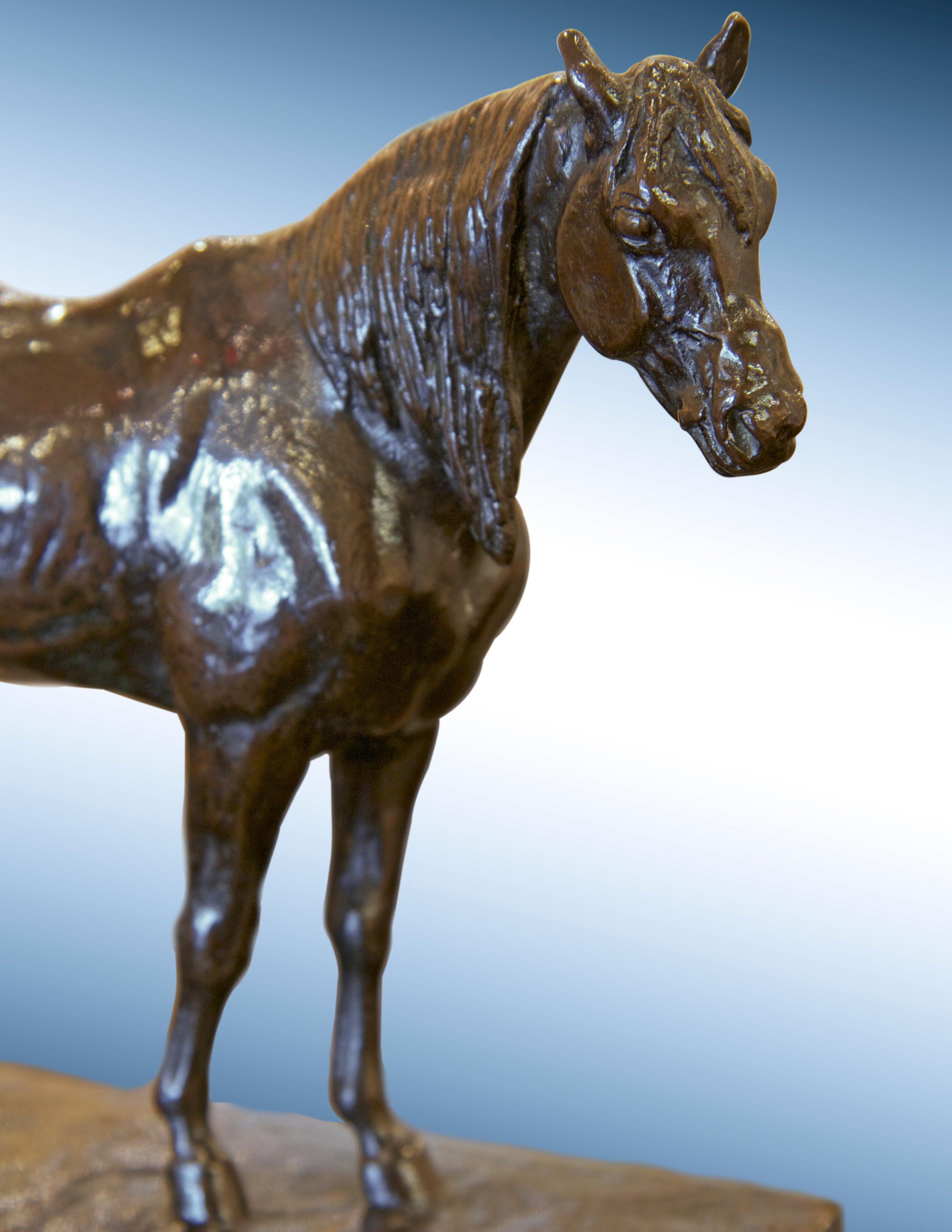 Le cheval demi-sang arabe - Sculpture by Antoine-Louis Barye