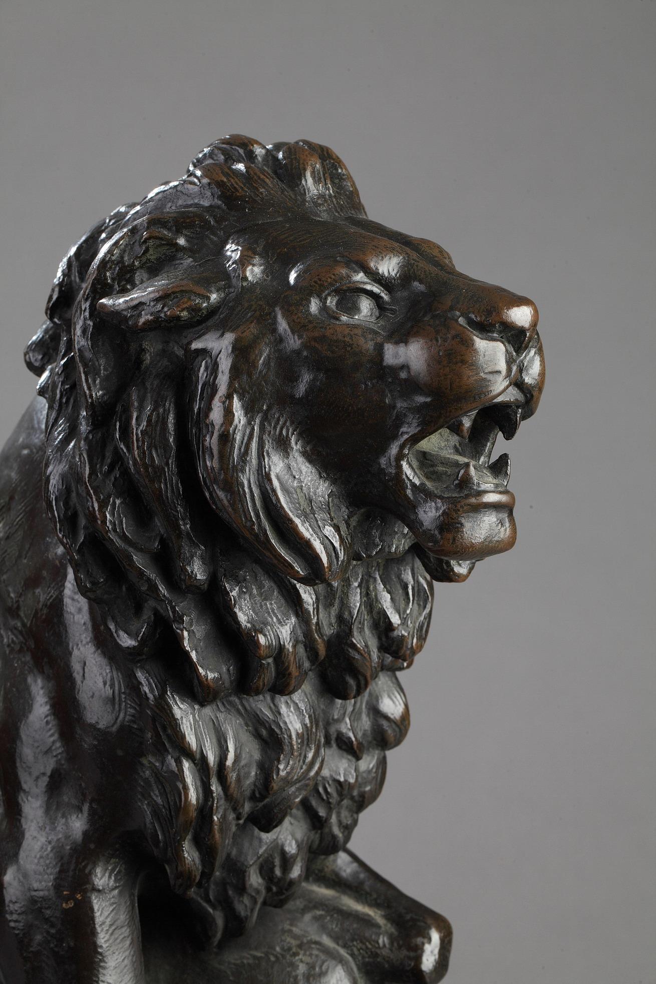 Un lion frappe un sanglier en vente 5