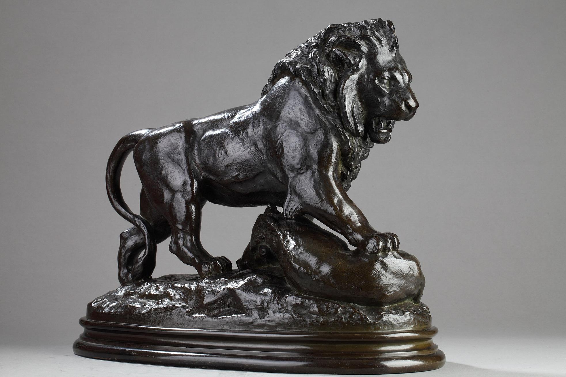 Un lion frappe un sanglier
par Antoine-Louis BARYE (1796-1875)

Sculpture en bronze à patine brun foncé
Signé sur la base avec moulure 