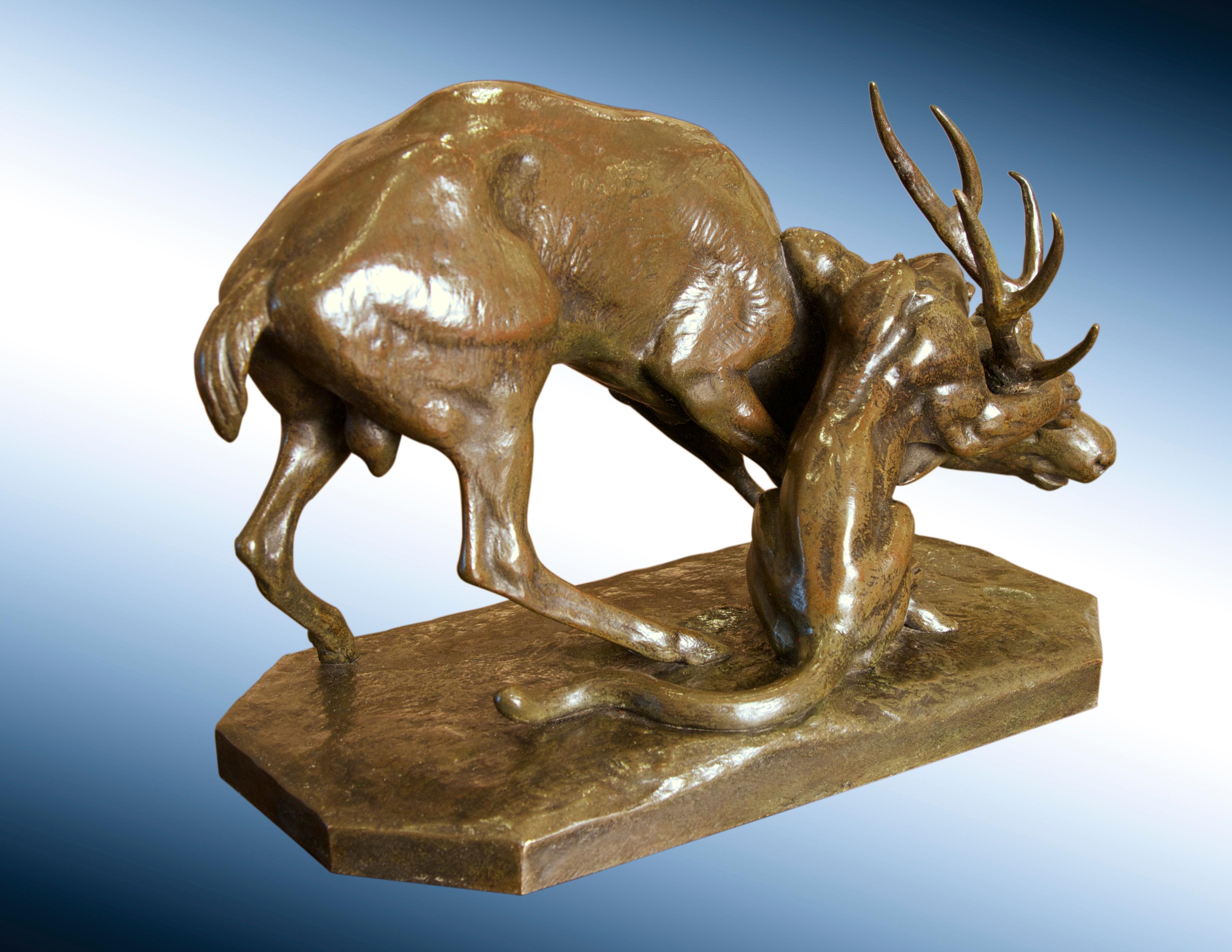 Panthere Saisissant un cerf in vendita 2