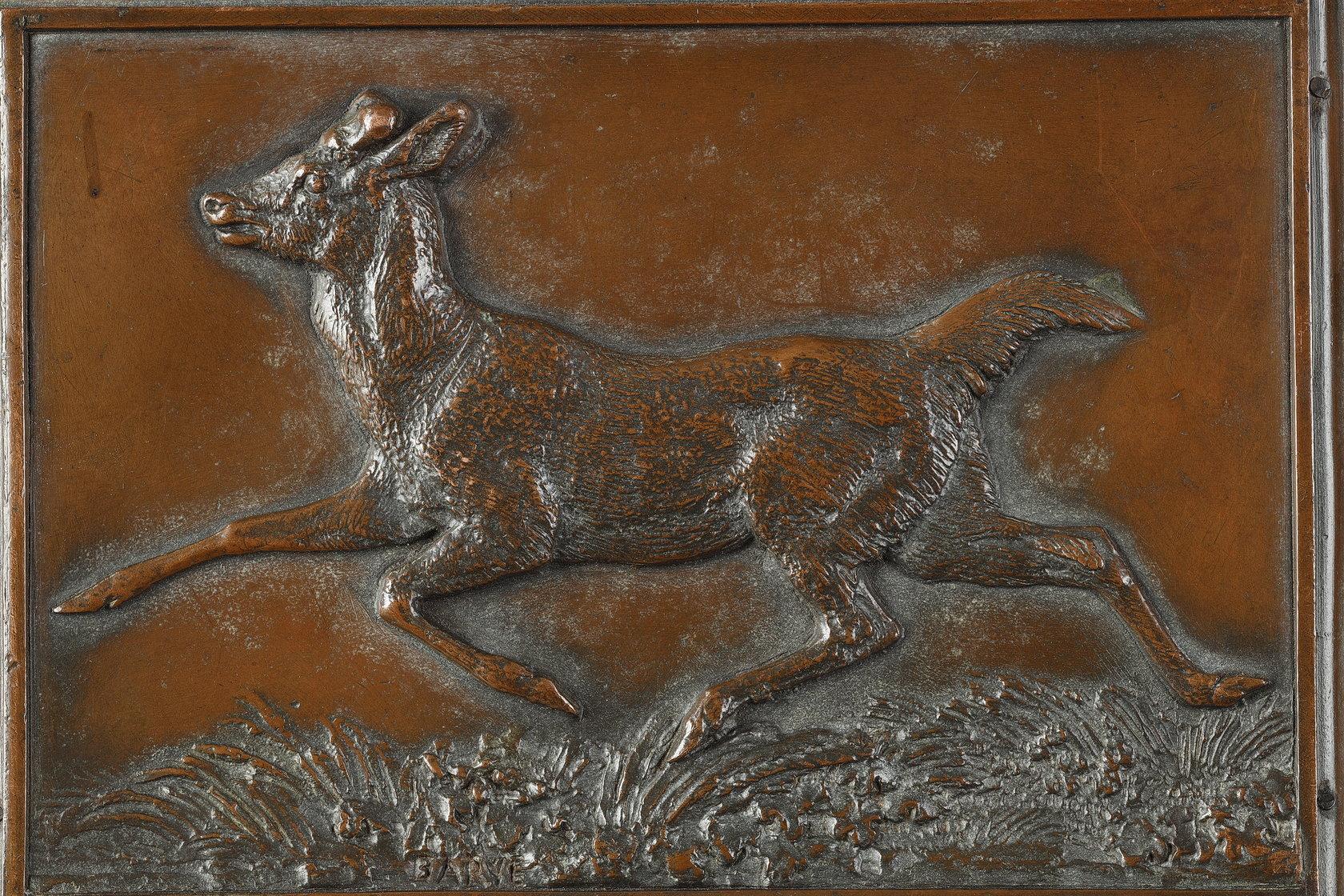 Cerf à queue blanche plaque - École française Sculpture par Antoine-Louis Barye