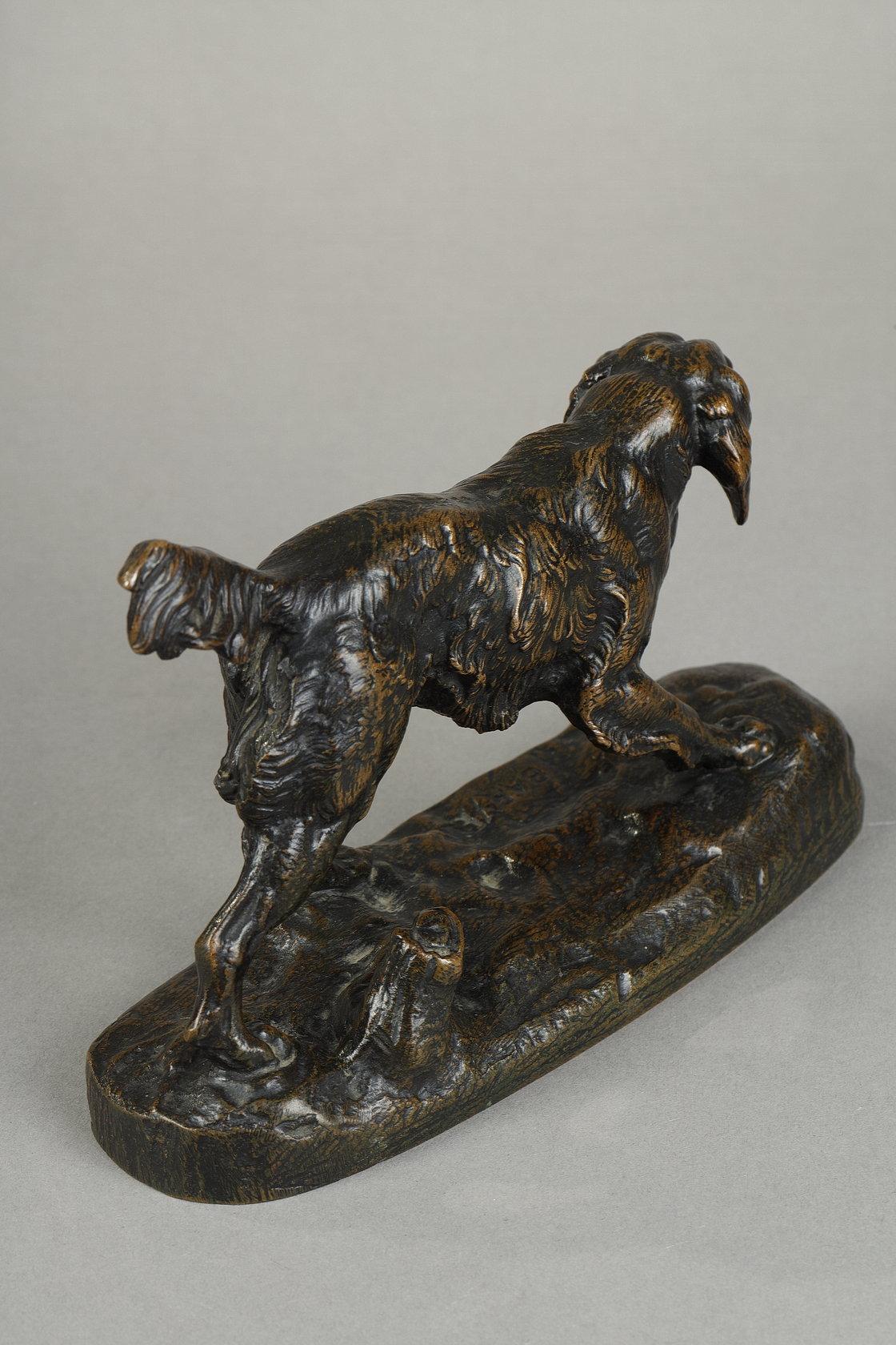 Spaniel n°1 5
