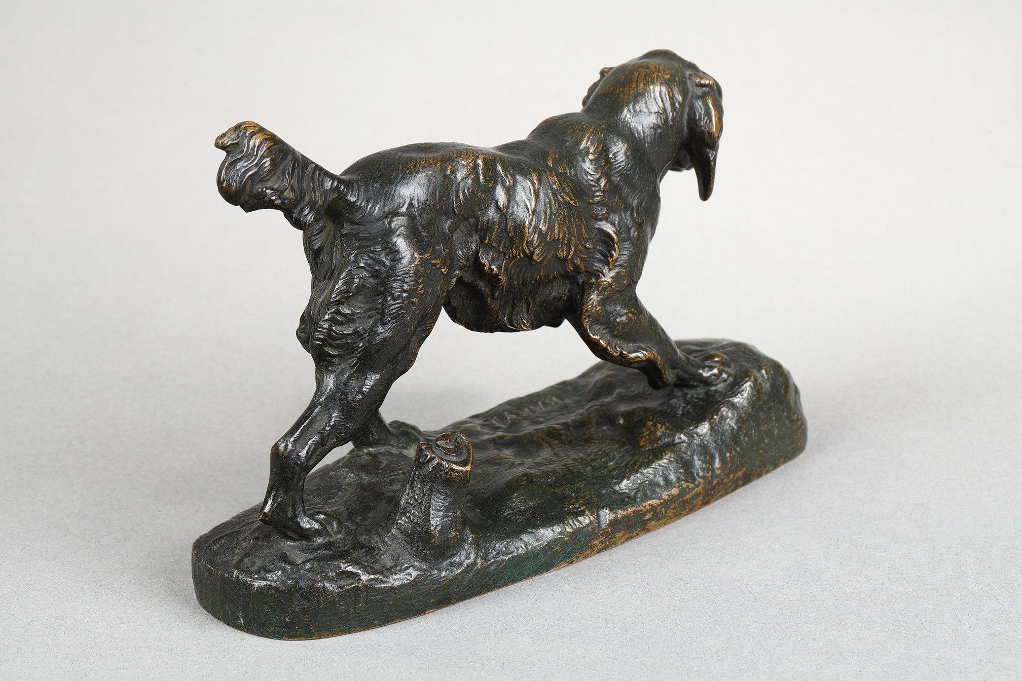 Spaniel n°1 in vendita 5