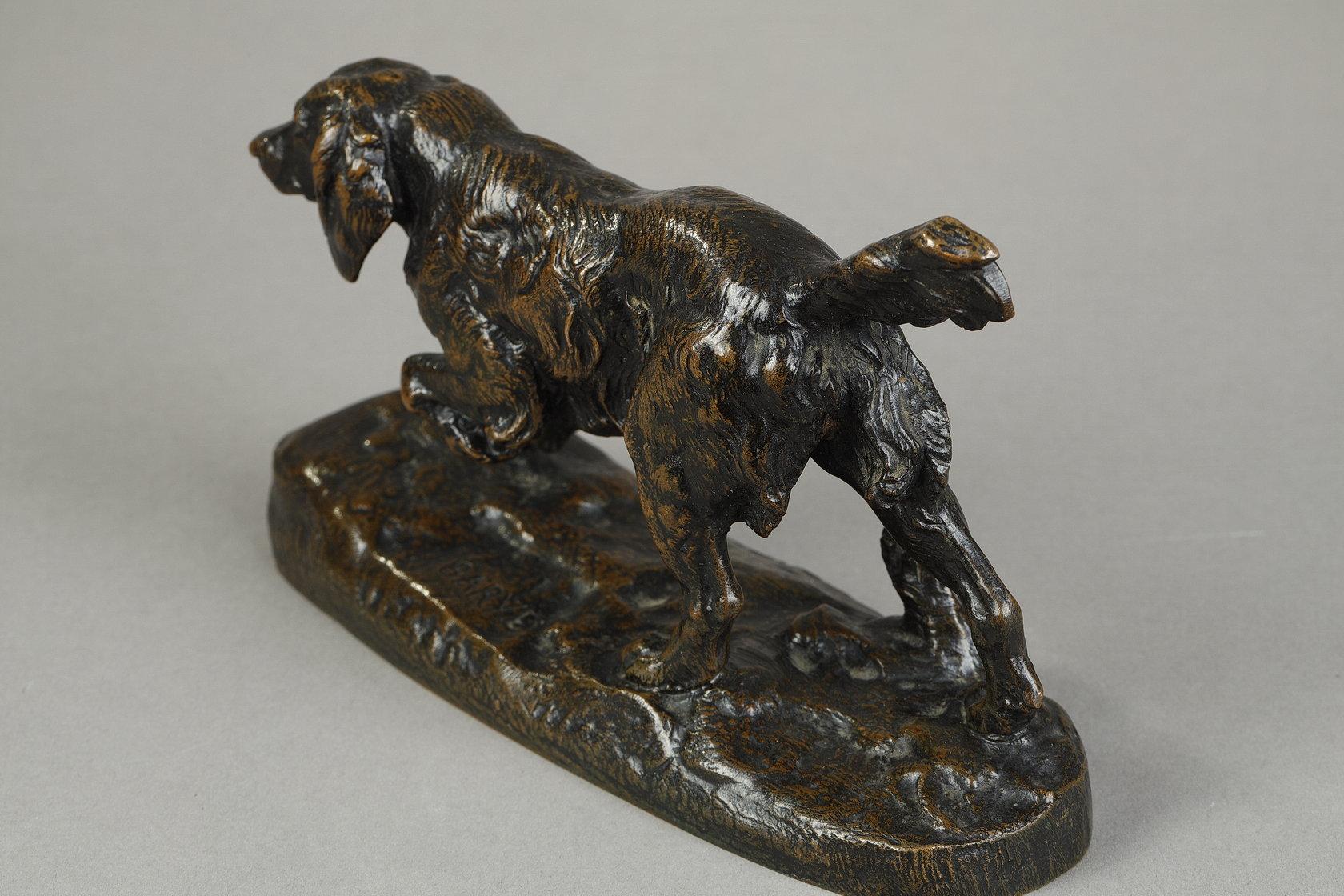 Spaniel n°1 6