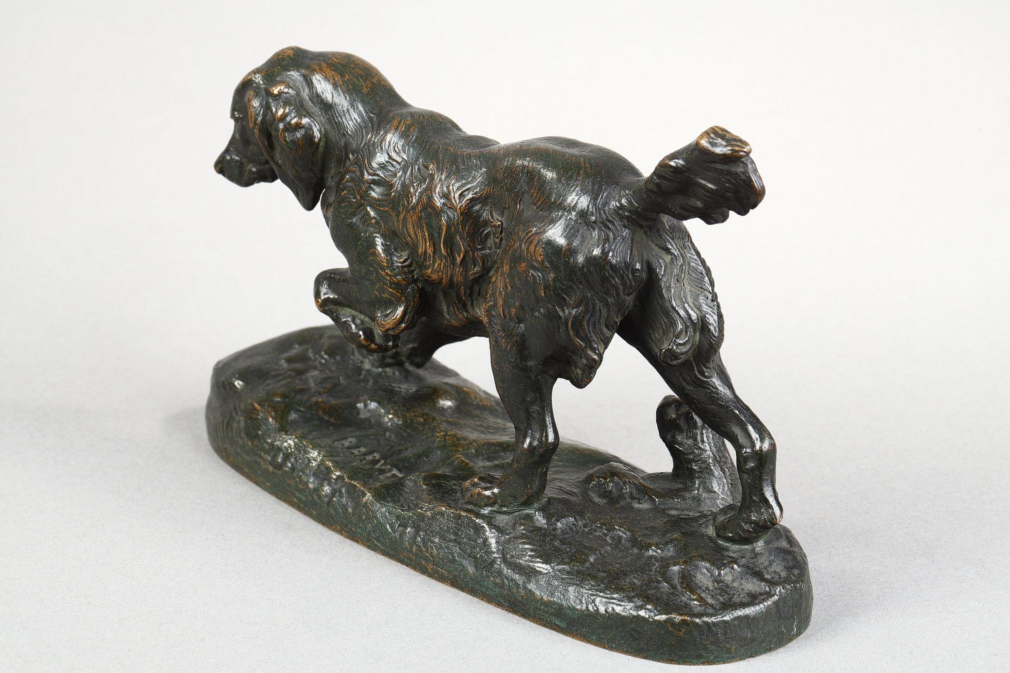 Spaniel n°1 in vendita 6