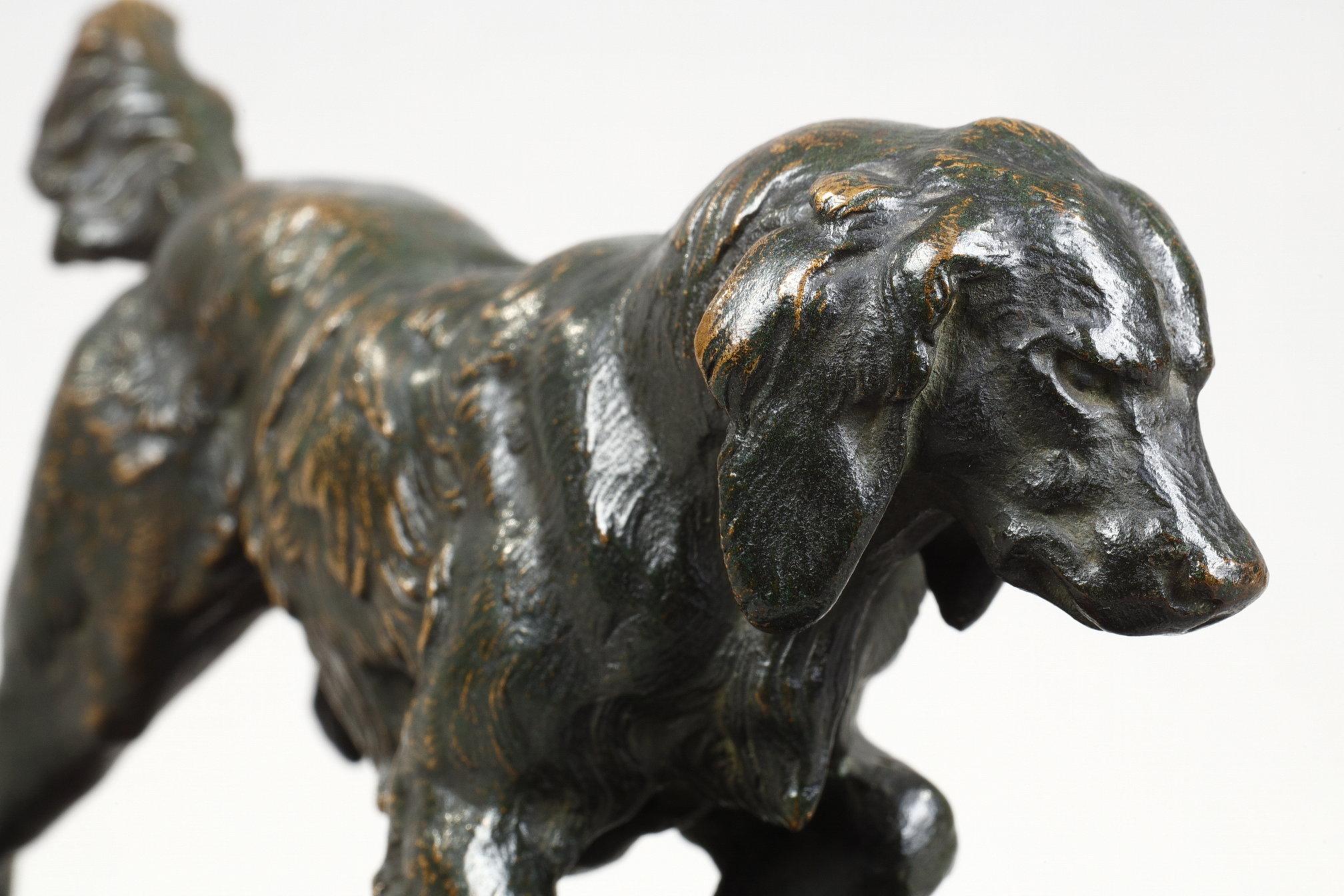 Spaniel n°1 in vendita 1