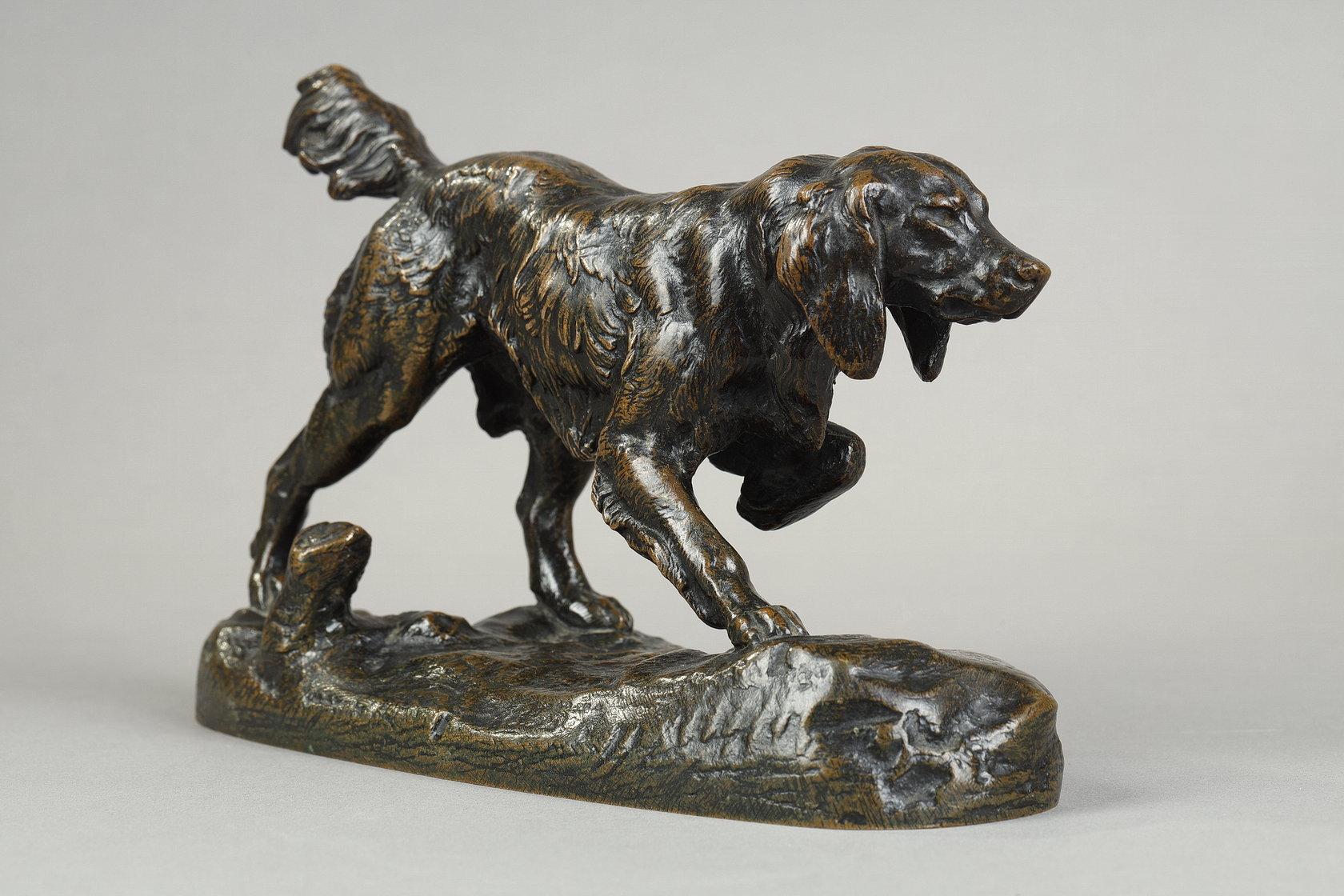 Spaniel n°1 2