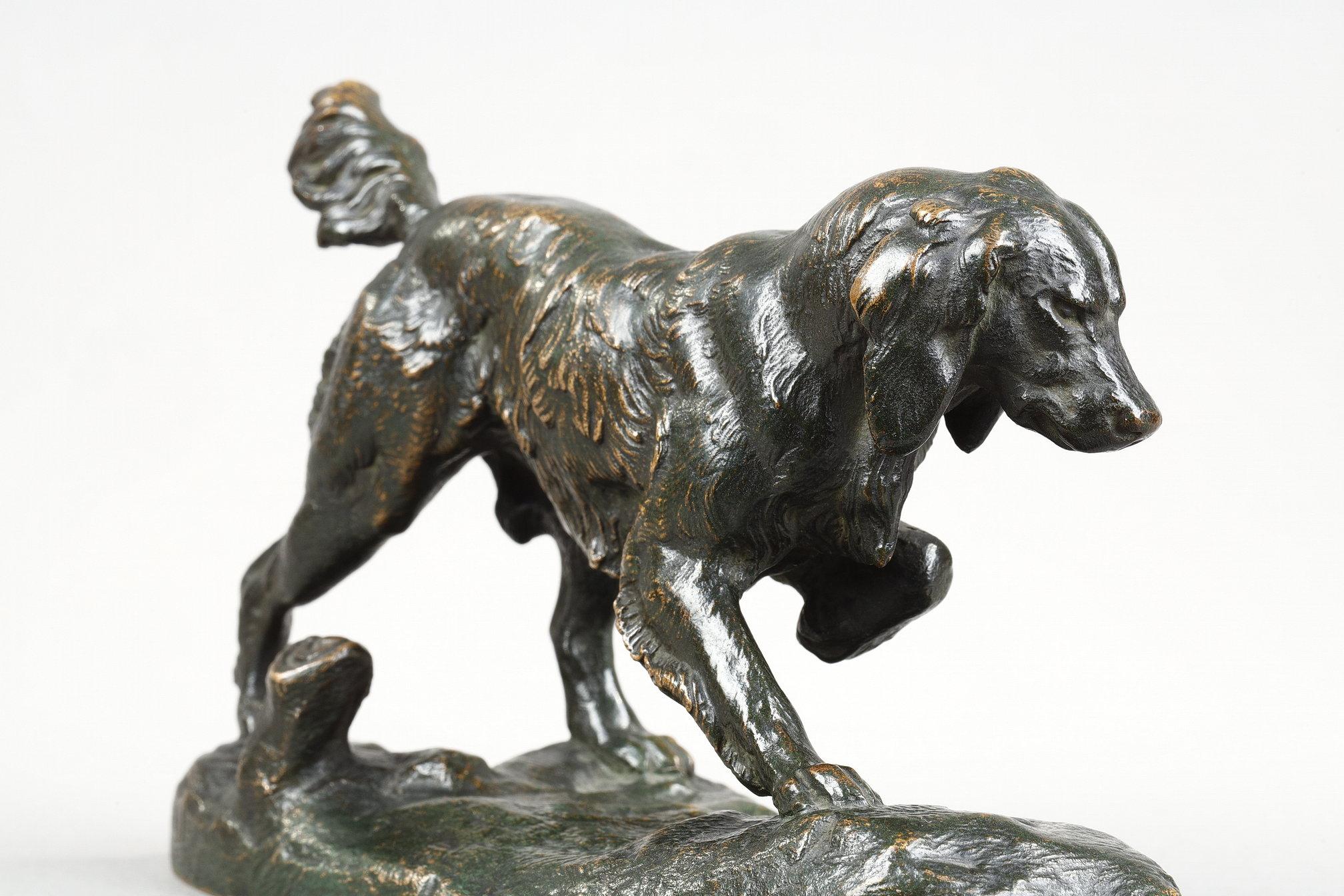 Spaniel n°1 in vendita 2