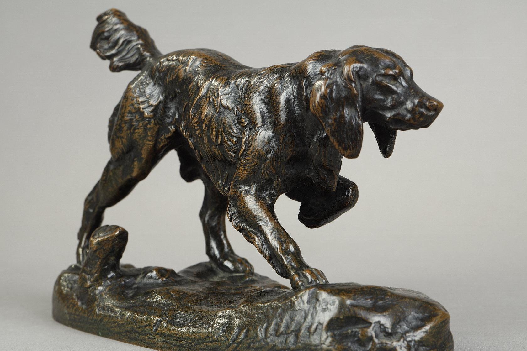 Spaniel n°1 3
