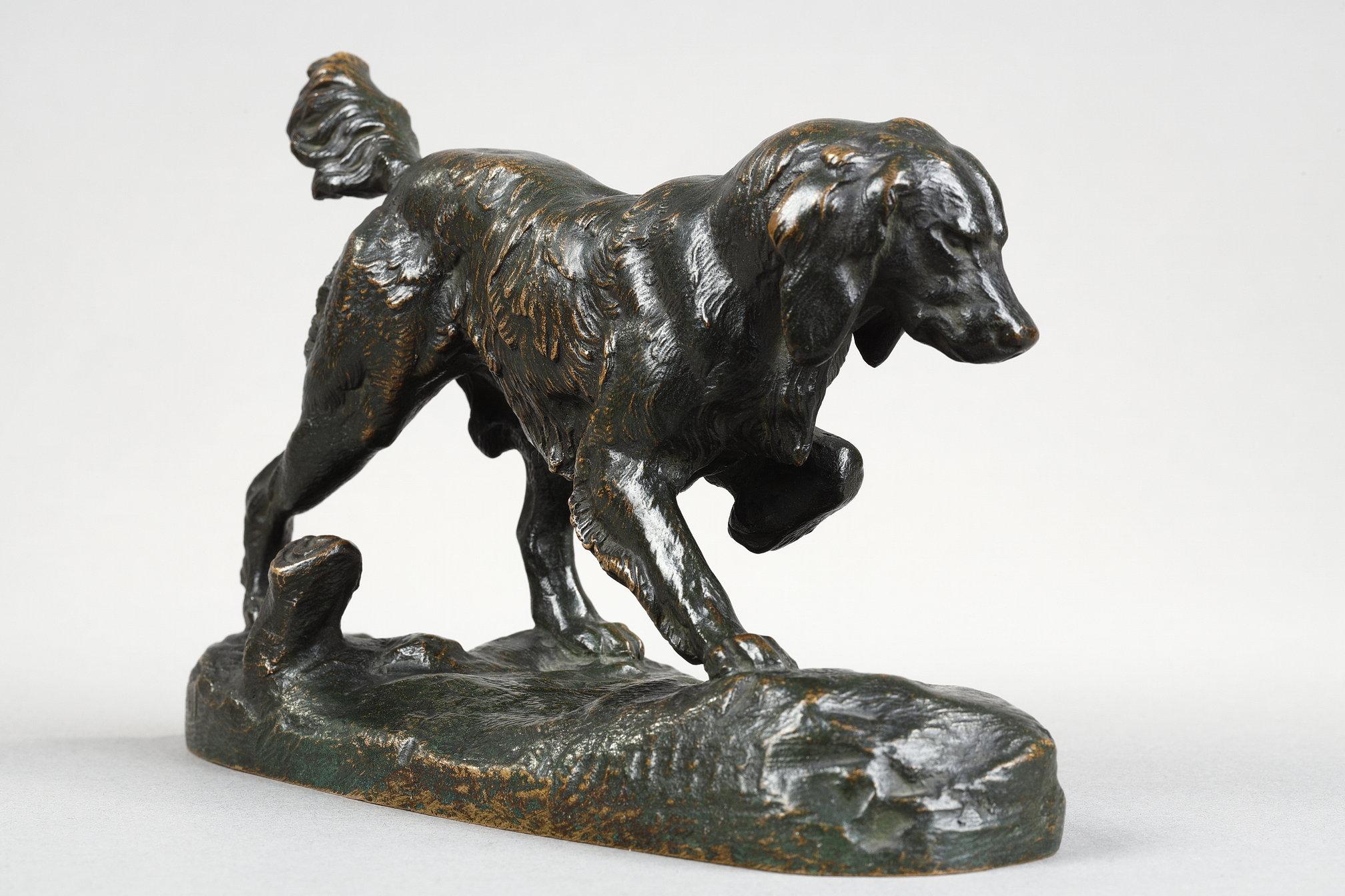 Spaniel n°1 in vendita 3