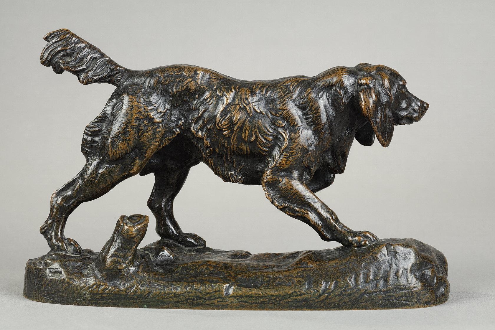 Spaniel n°1 4