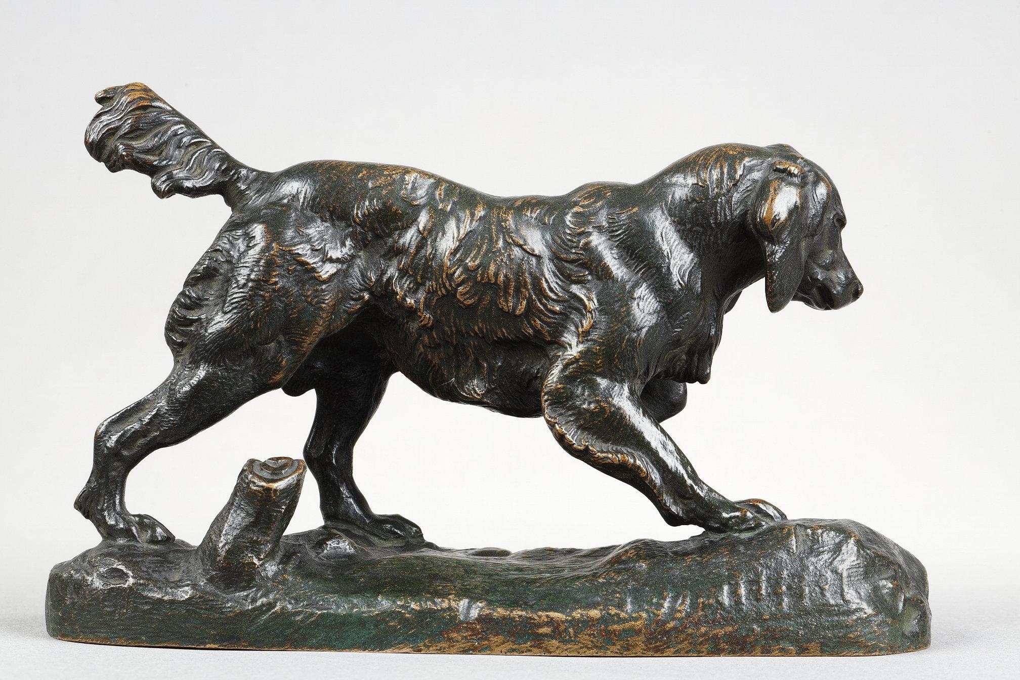 Spaniel n°1 in vendita 4