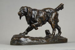 Spaniel n°1