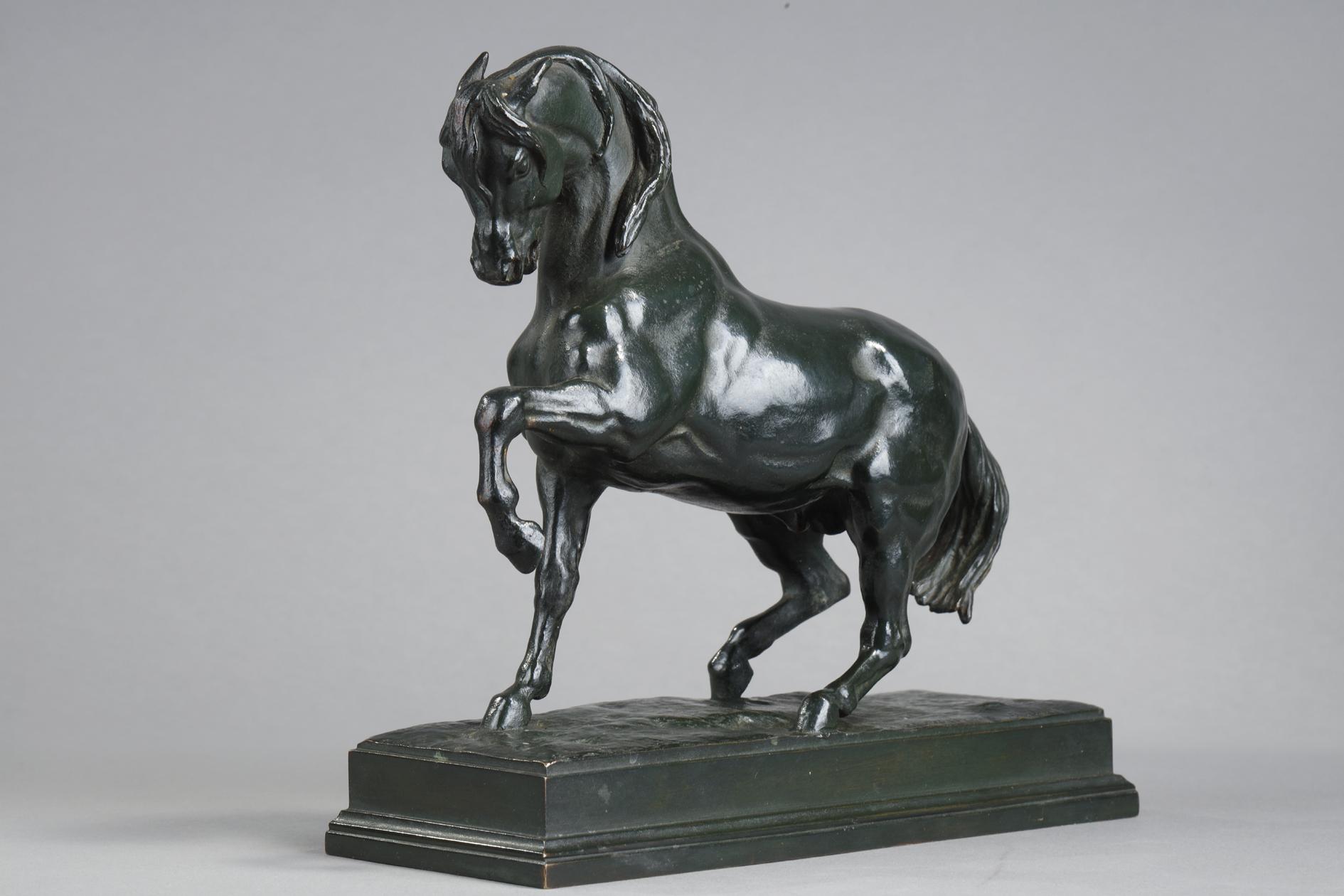 Caballo turco en venta 1