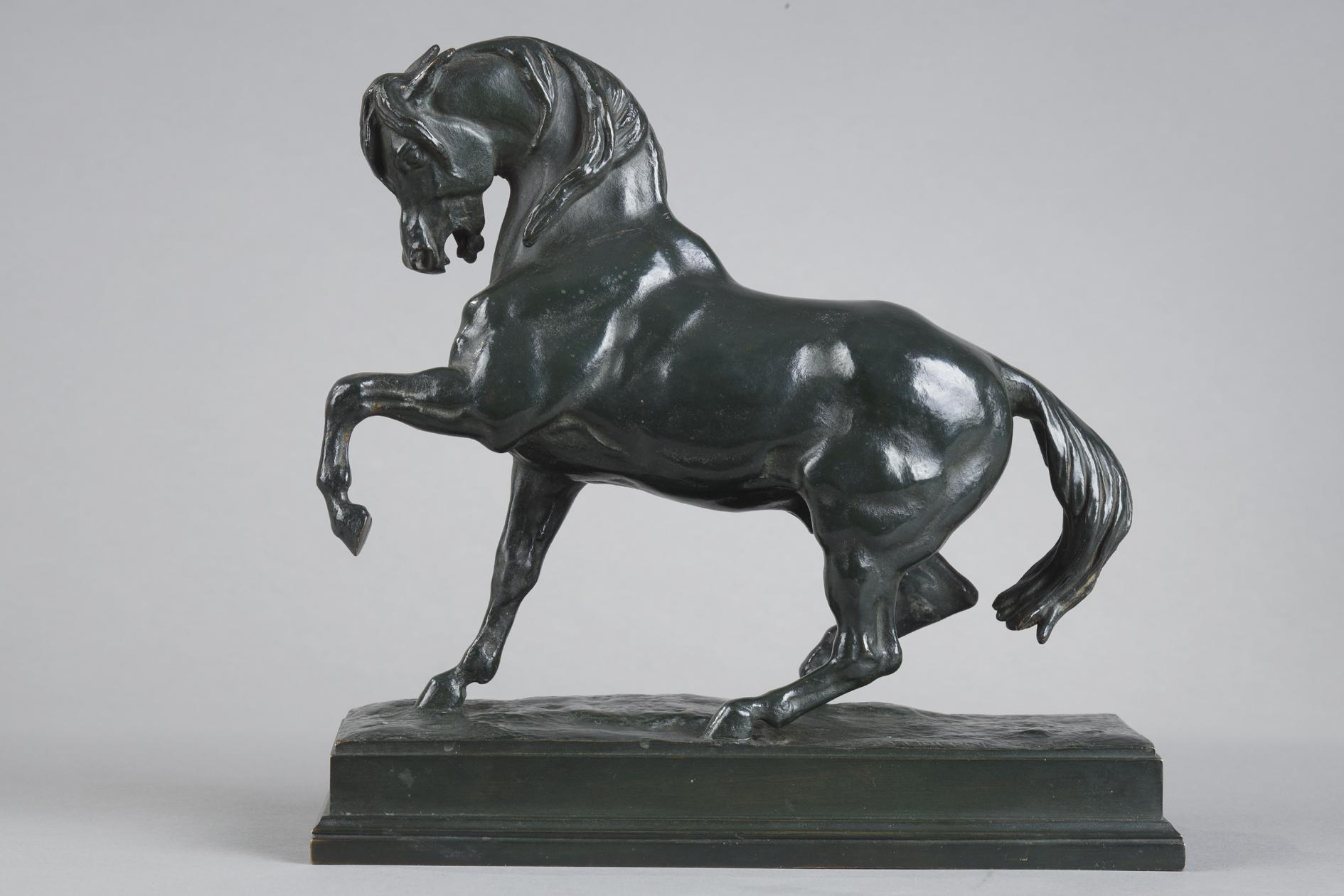 Caballo turco en venta 2