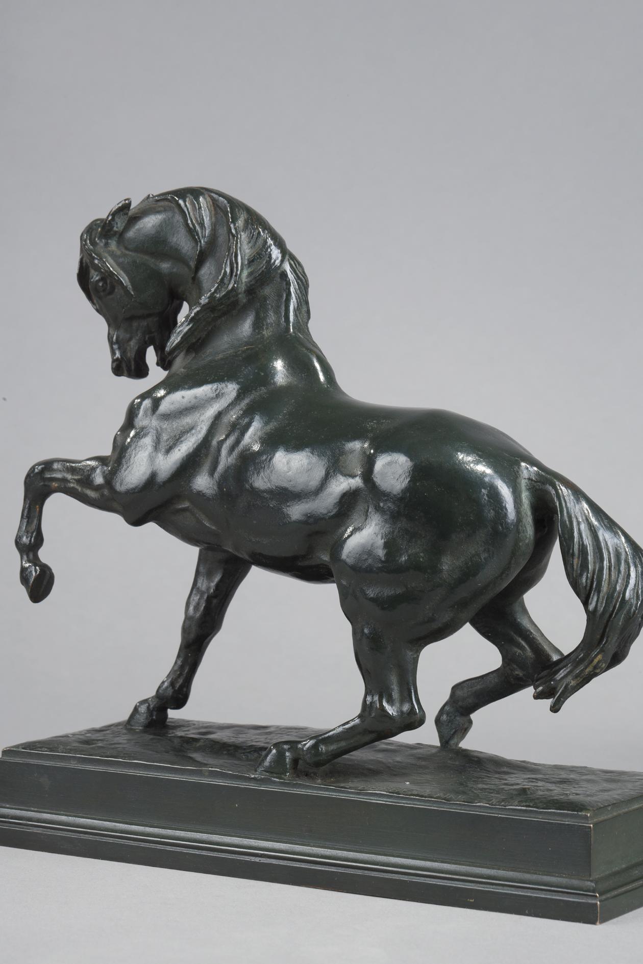 Caballo turco en venta 3