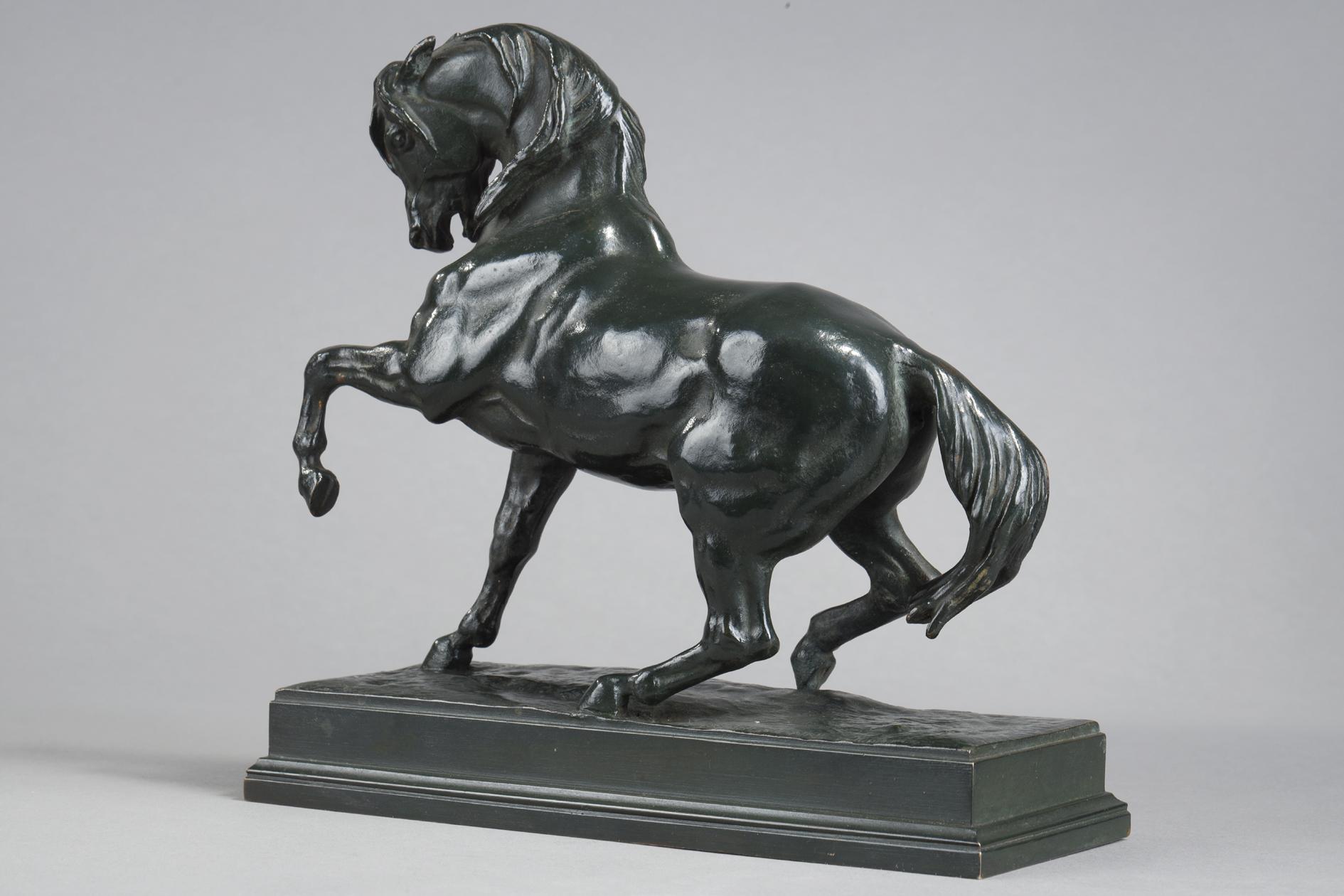 Caballo turco en venta 4