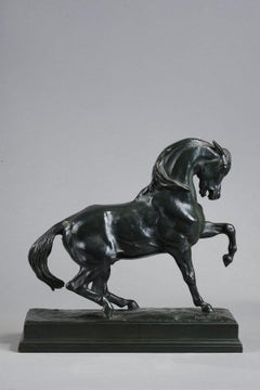 Cavallo turco