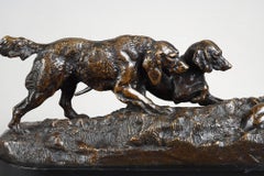 Dos perros señalando a un conejo