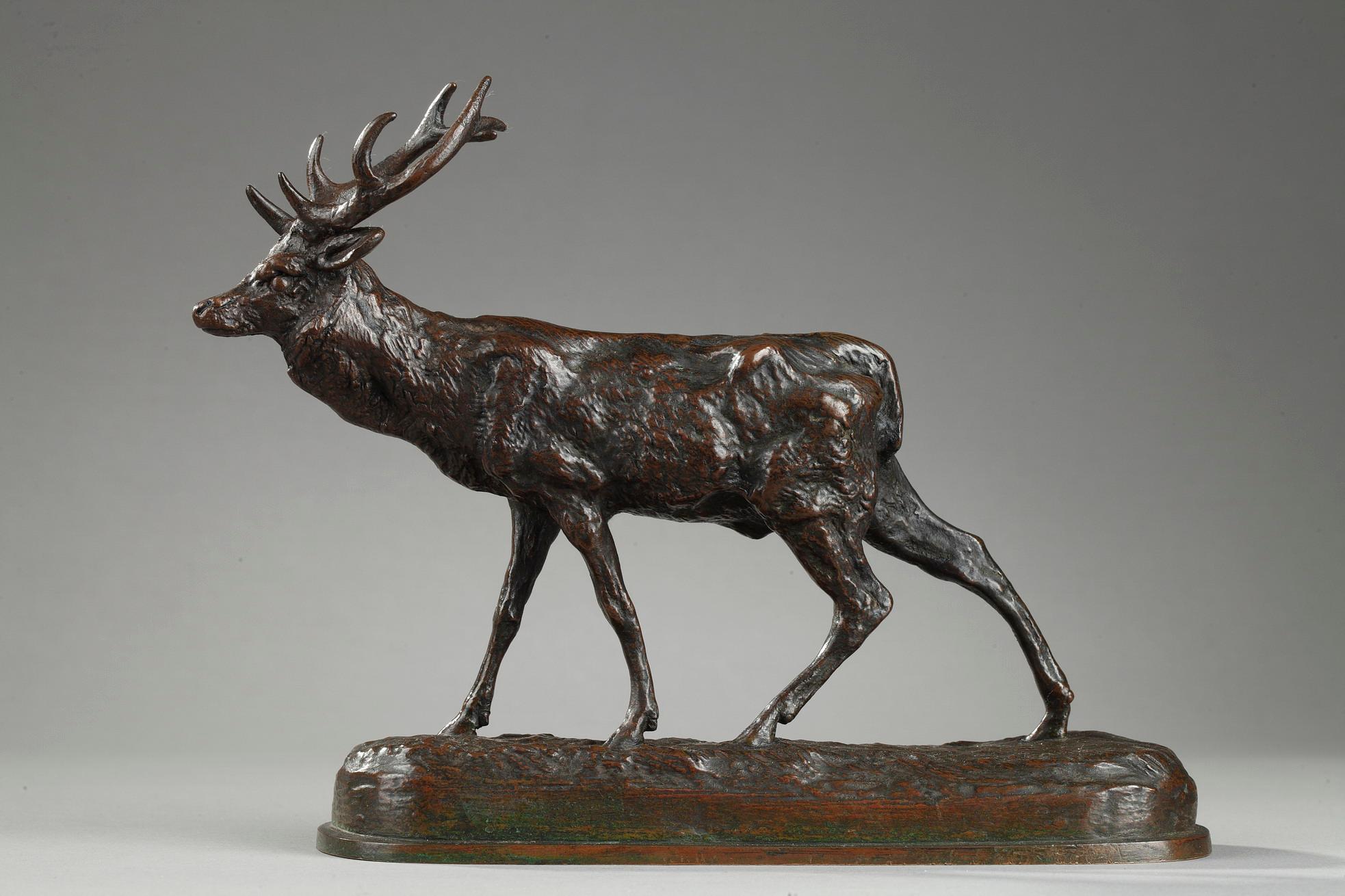 Walking Stag For Sale 1