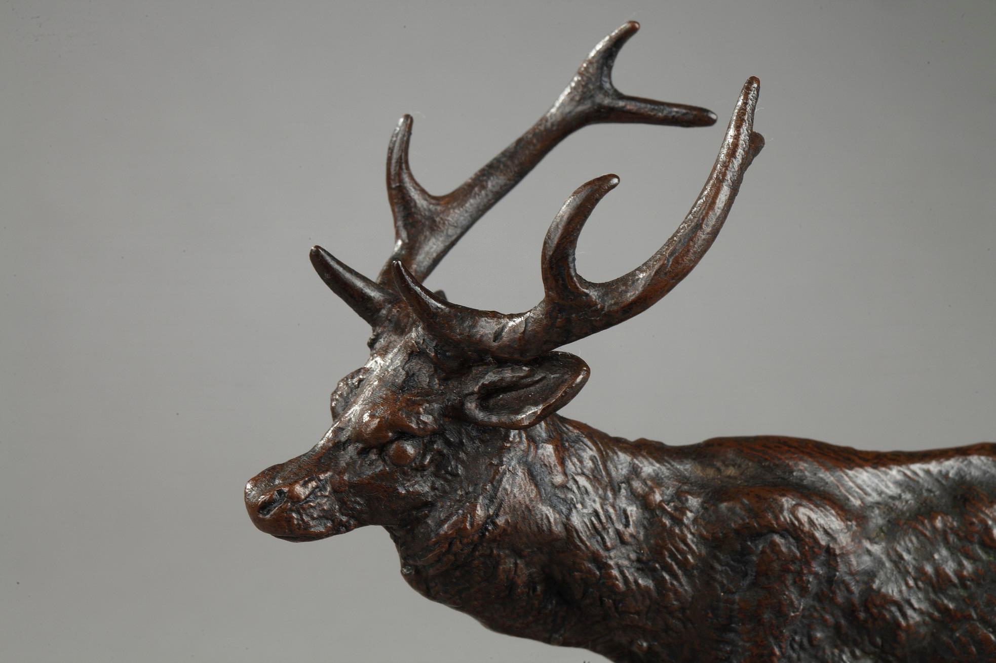 Walking Stag For Sale 2