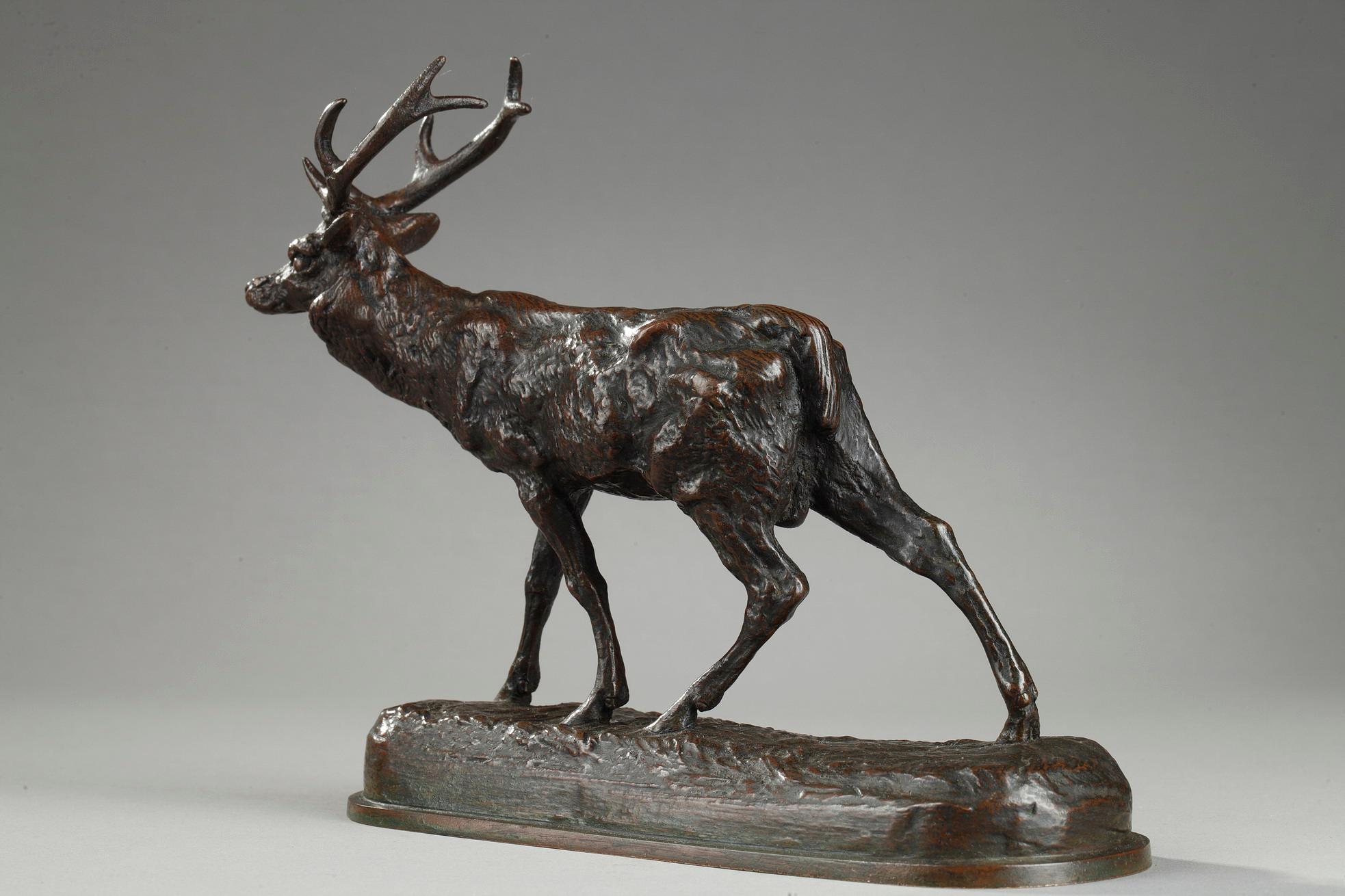 Walking Stag For Sale 3