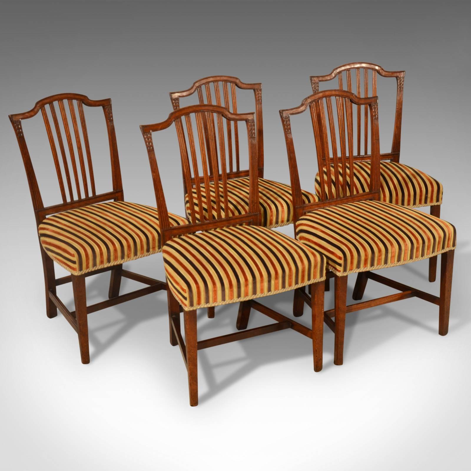 Antique, Dining Chairs, Set of Five, Mahogany, Georgian, Sheraton, English c1800 4