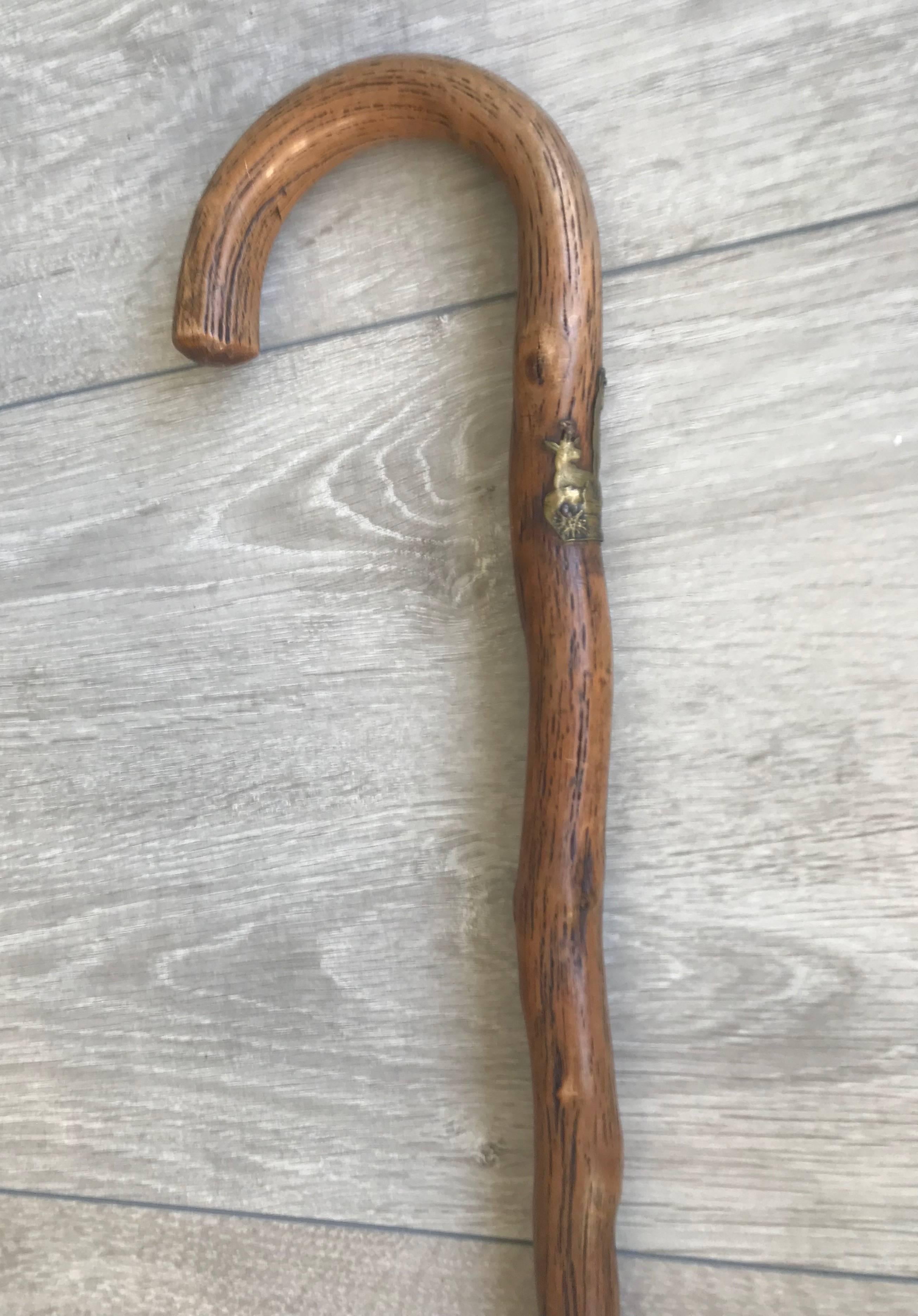 20th Century Antique and Strong Real Branch Wood Walking Stick or Cane