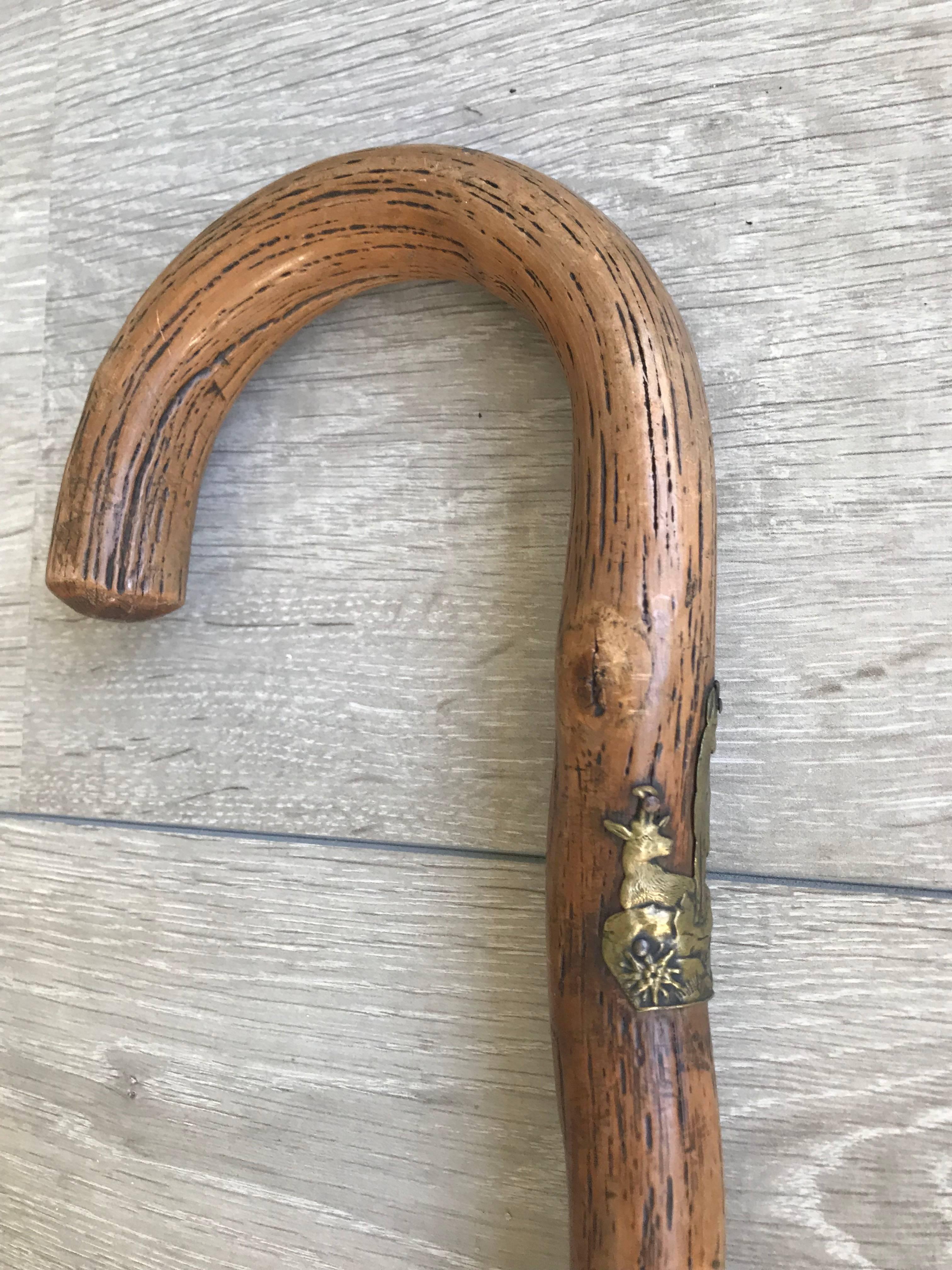 Wonderful look and feel antique walking-stick from circa 1900.

This organic and perfectly natural walking cane with a beautifully bent grip comes with a highly stylish and all-handcrafted brass deer plaque on the upper end of the stem. The look and