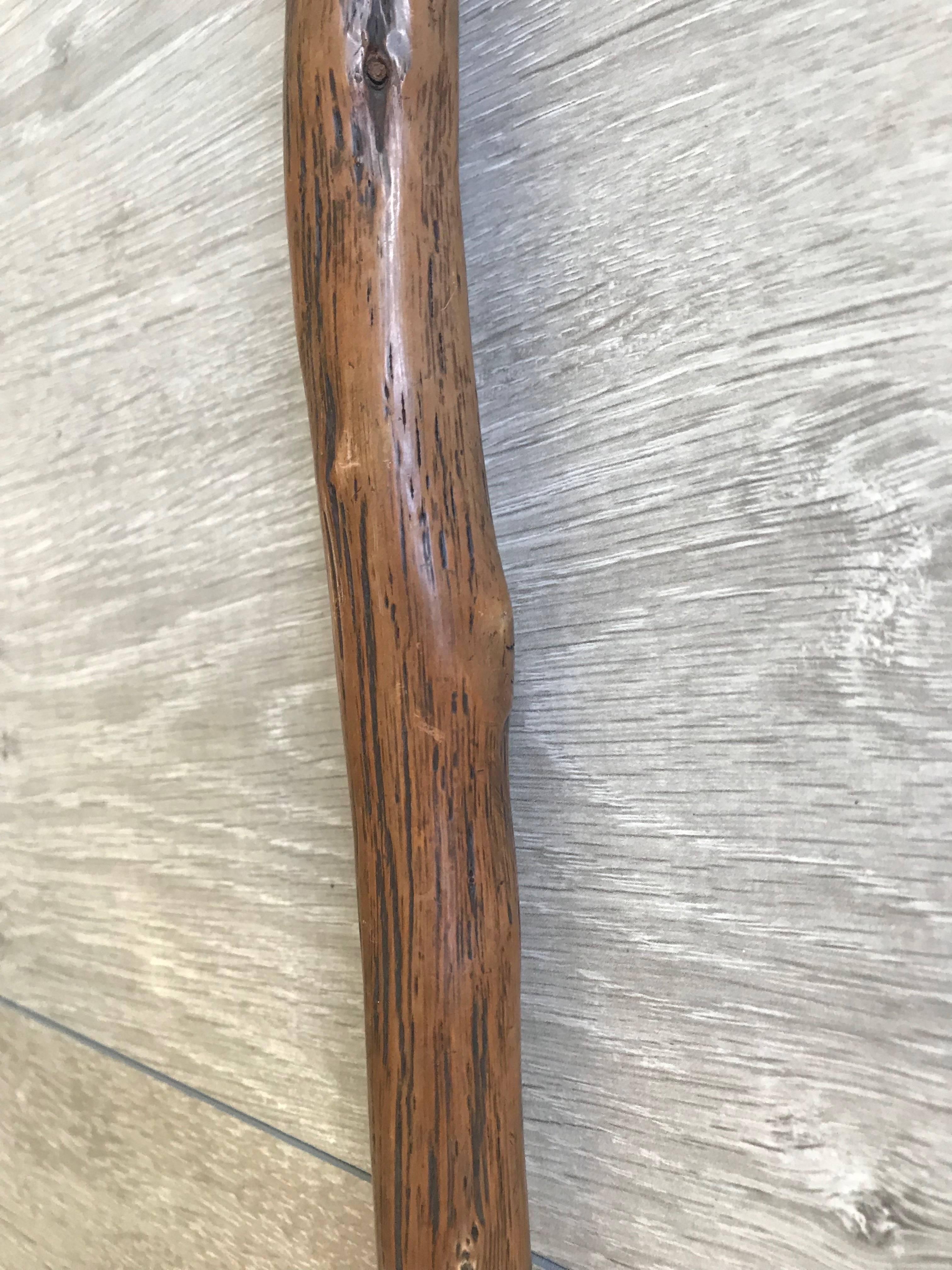 Black Forest Antique and Strong Real Branch Wood Walking Stick or Cane