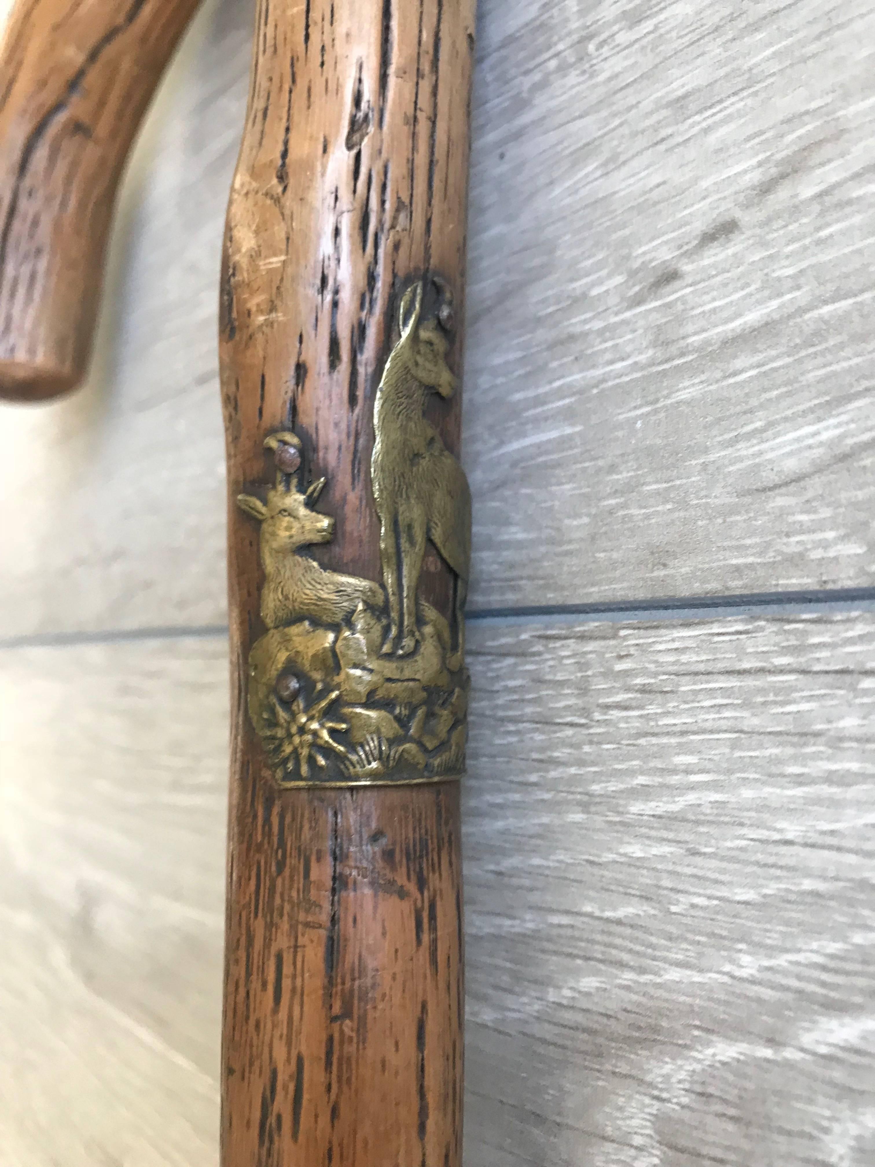 Antique and Strong Real Branch Wood Walking Stick or Cane In Excellent Condition In Lisse, NL