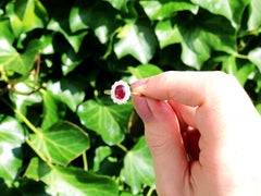 Non Heated 1.03 Carat Thai Ruby and Diamond Cluster Ring in Yellow Gold