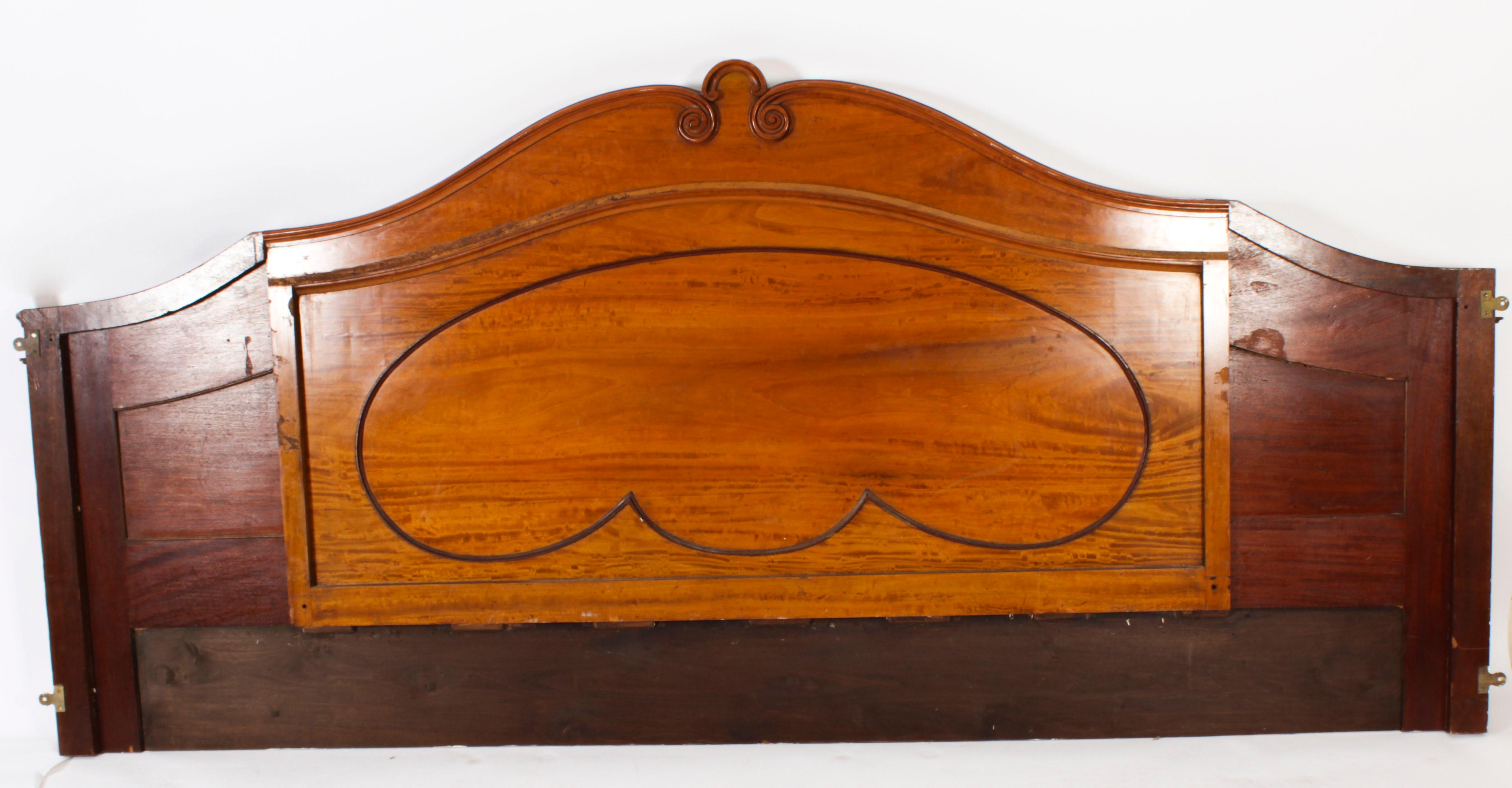 Antique 11 ft wide Sheraton Revival Satinwood Bed Headboard 19th Century For Sale 7