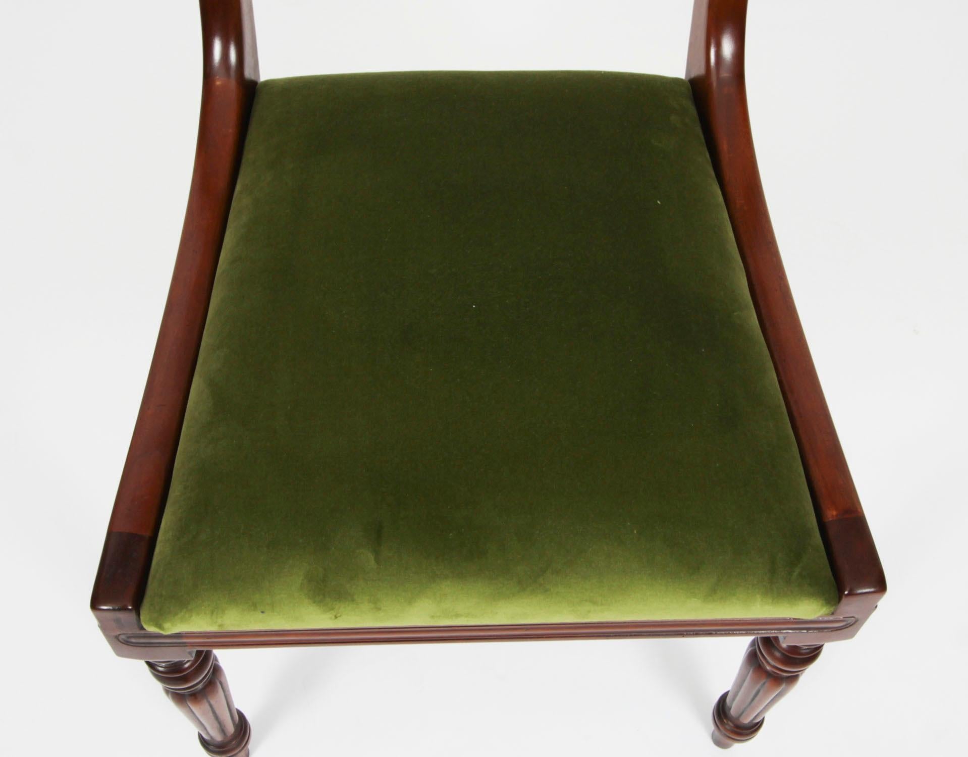 Antiquity 13ft Regency Triple Pillar Dining Table 19th C & 12 Chairs 20th Century en vente 12