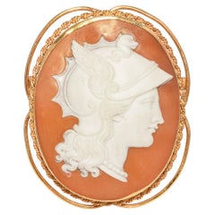 Antique 13k Yellow Gold Cameo Shell Athena Goddess of War Brooch Pin