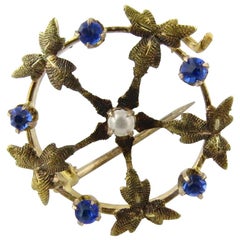 Antique 14 Karat Yellow Gold and Sapphire and Seed Pearl Pin