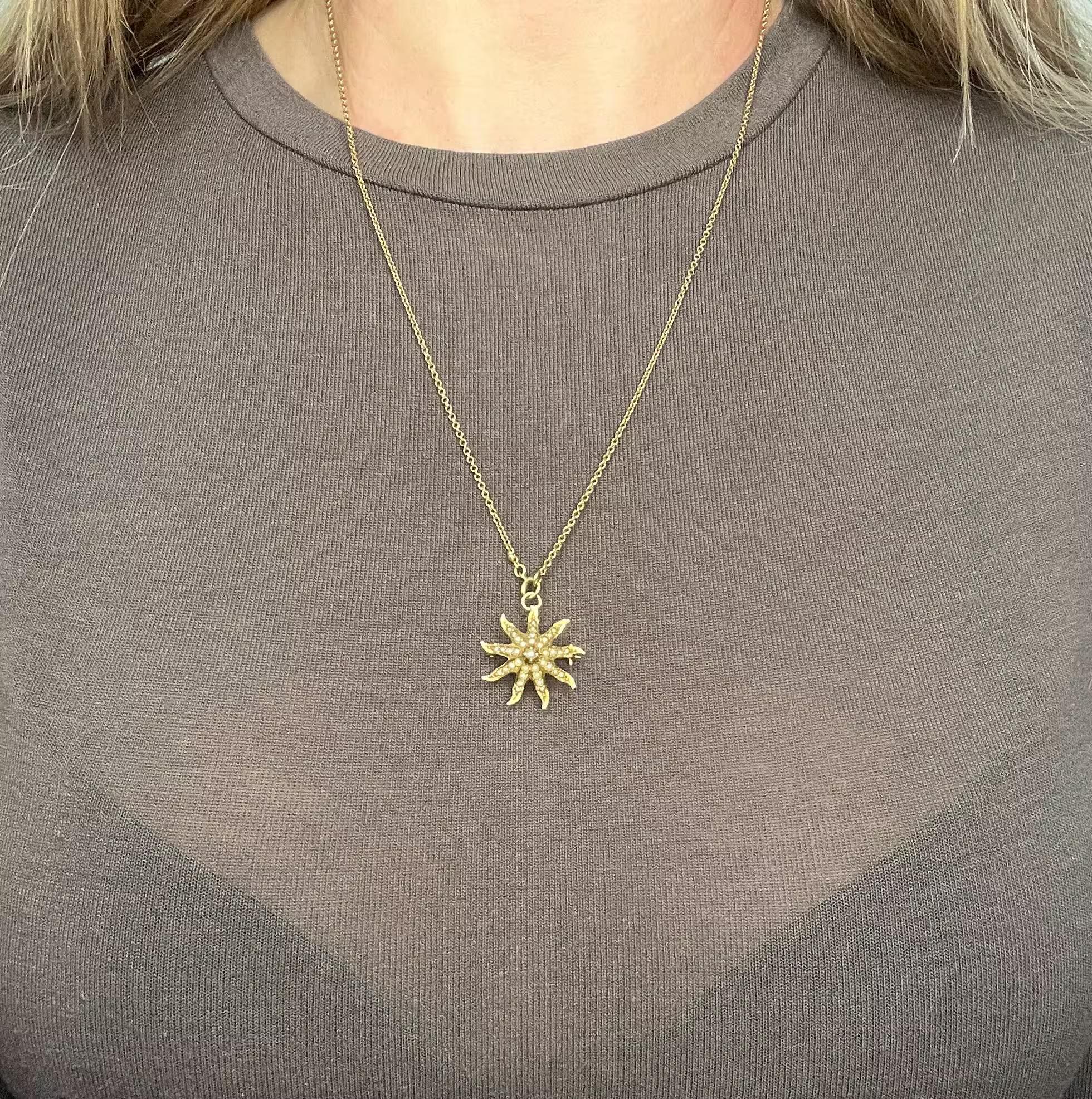 Antique Starburst Pendant 

14ct Yellow Gold 

Circa 1910

* THE CHAIN IS SOLD SEPARATELY.

This exquisite 14ct yellow gold Edwardian starburst brooch exudes vintage charm and sophistication. Crafted circa 1910, the brooch features a stunning