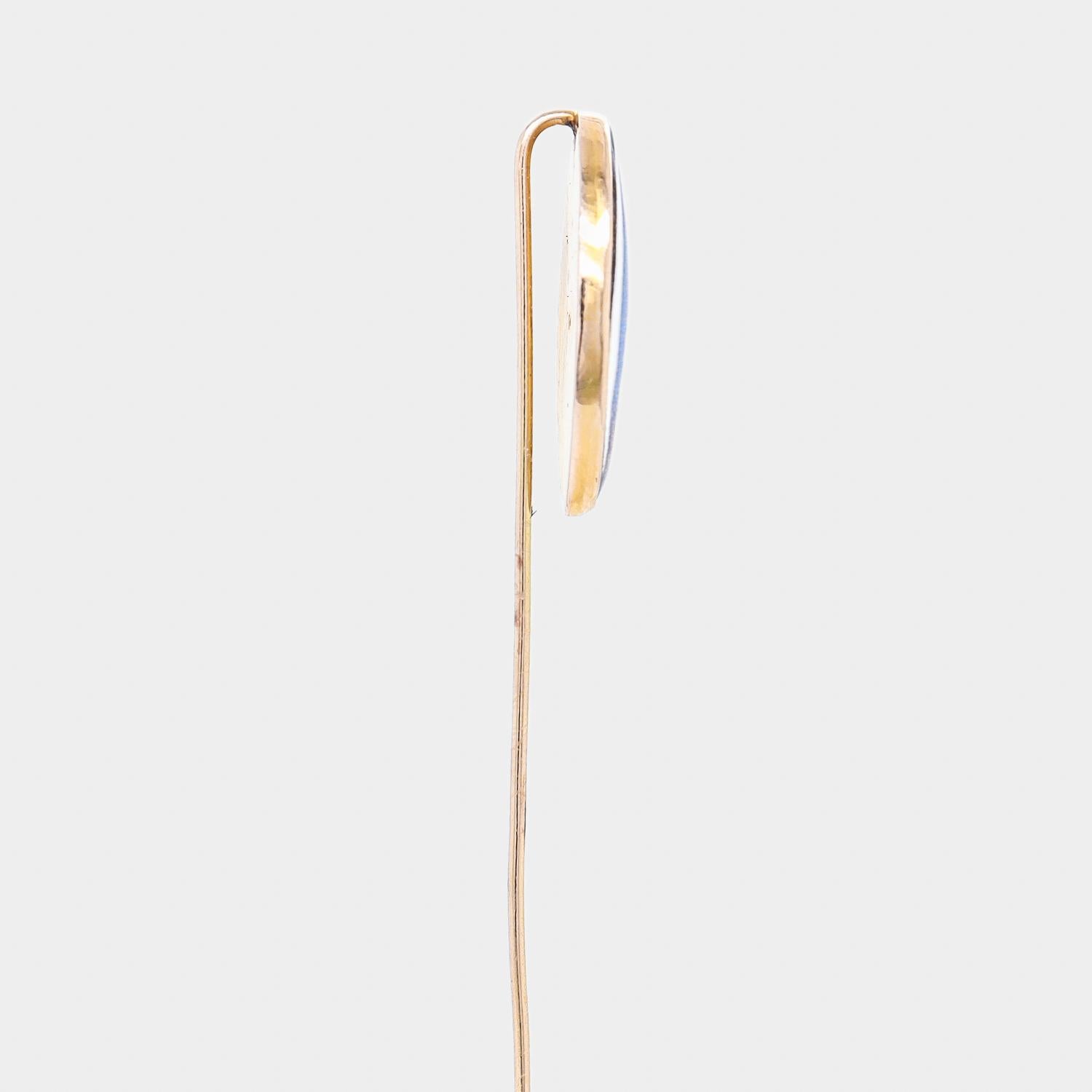 Antique 14K Gold & Real Morpho Butterfly Wing Stickpin For Sale 1