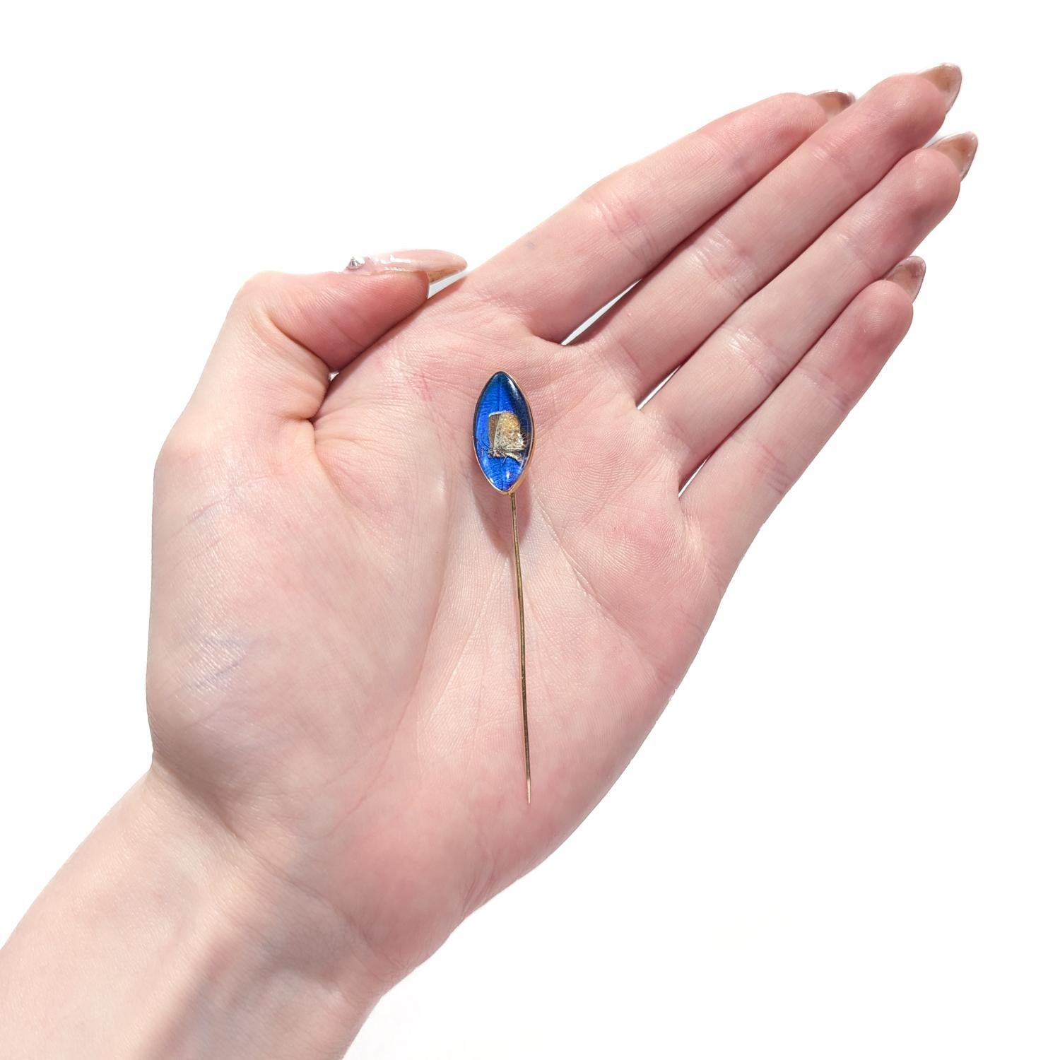 Antique 14K Gold & Real Morpho Butterfly Wing Stickpin For Sale 3
