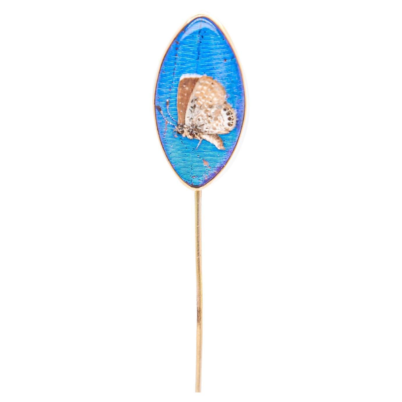 Antique 14K Gold & Real Morpho Butterfly Wing Stickpin For Sale