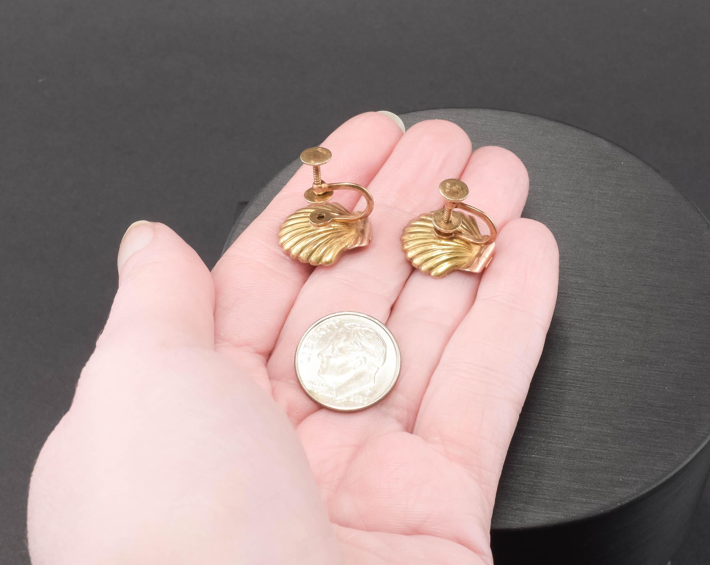 Antike 14K Gold Muschel-Ohrringe mit Perlen von Sloan & Co. Französisch Schraube zurück Stil im Angebot 5