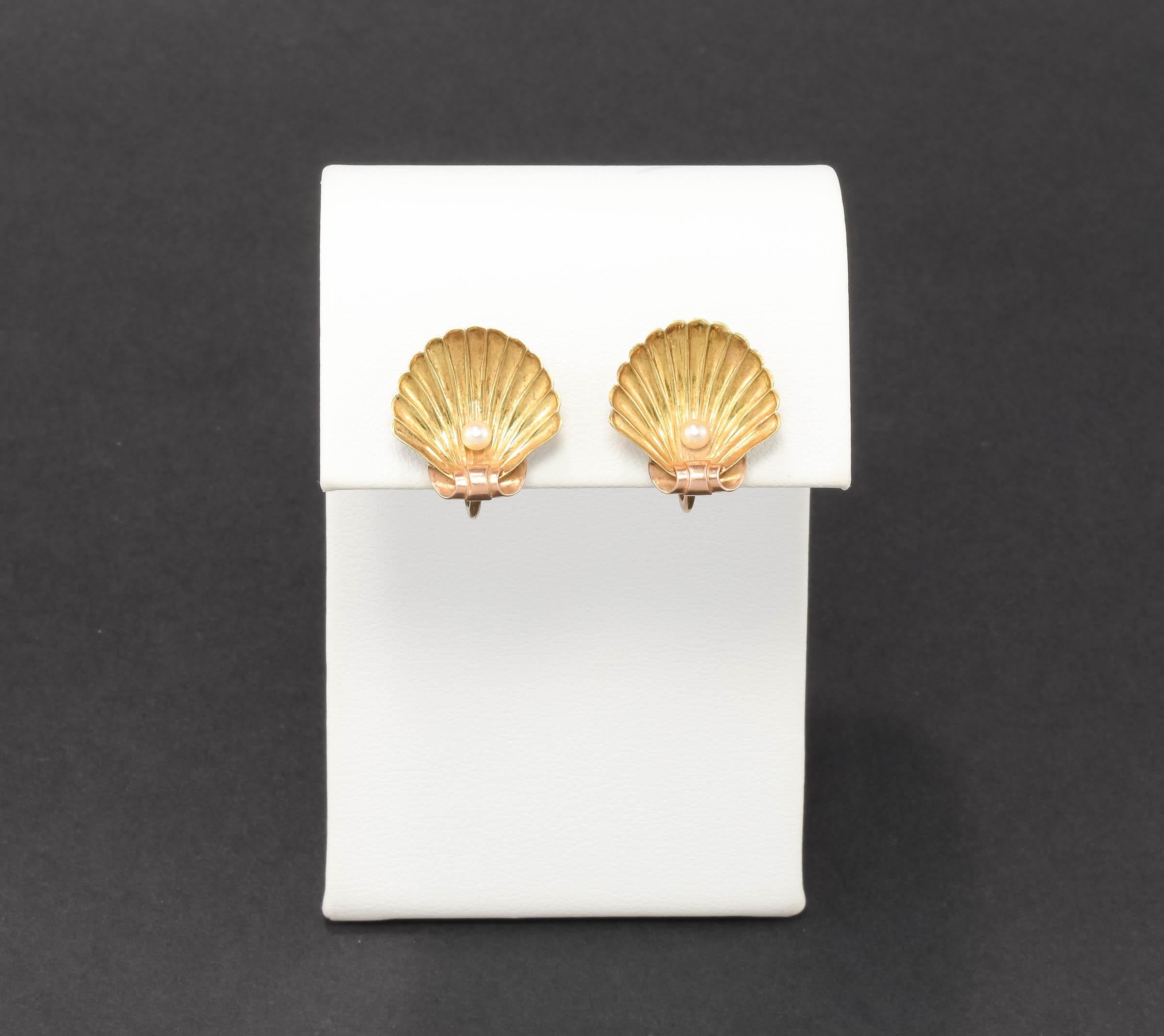 Antique 14K Gold Shell Earrings w Pearls by Sloan & Co. French Screw Back Style For Sale 6