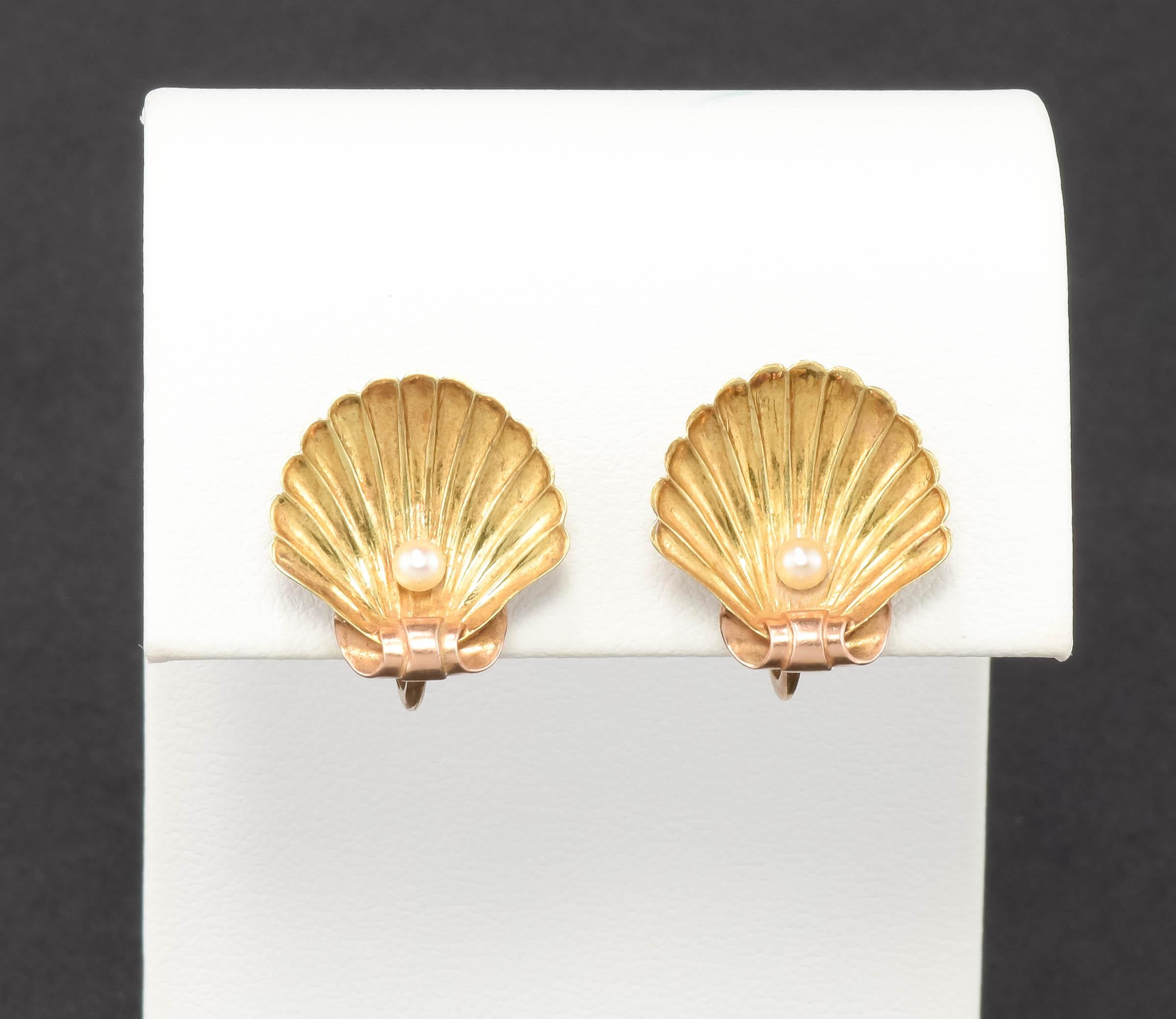 Antique 14K Gold Shell Earrings w Pearls by Sloan & Co. French Screw Back Style For Sale 7