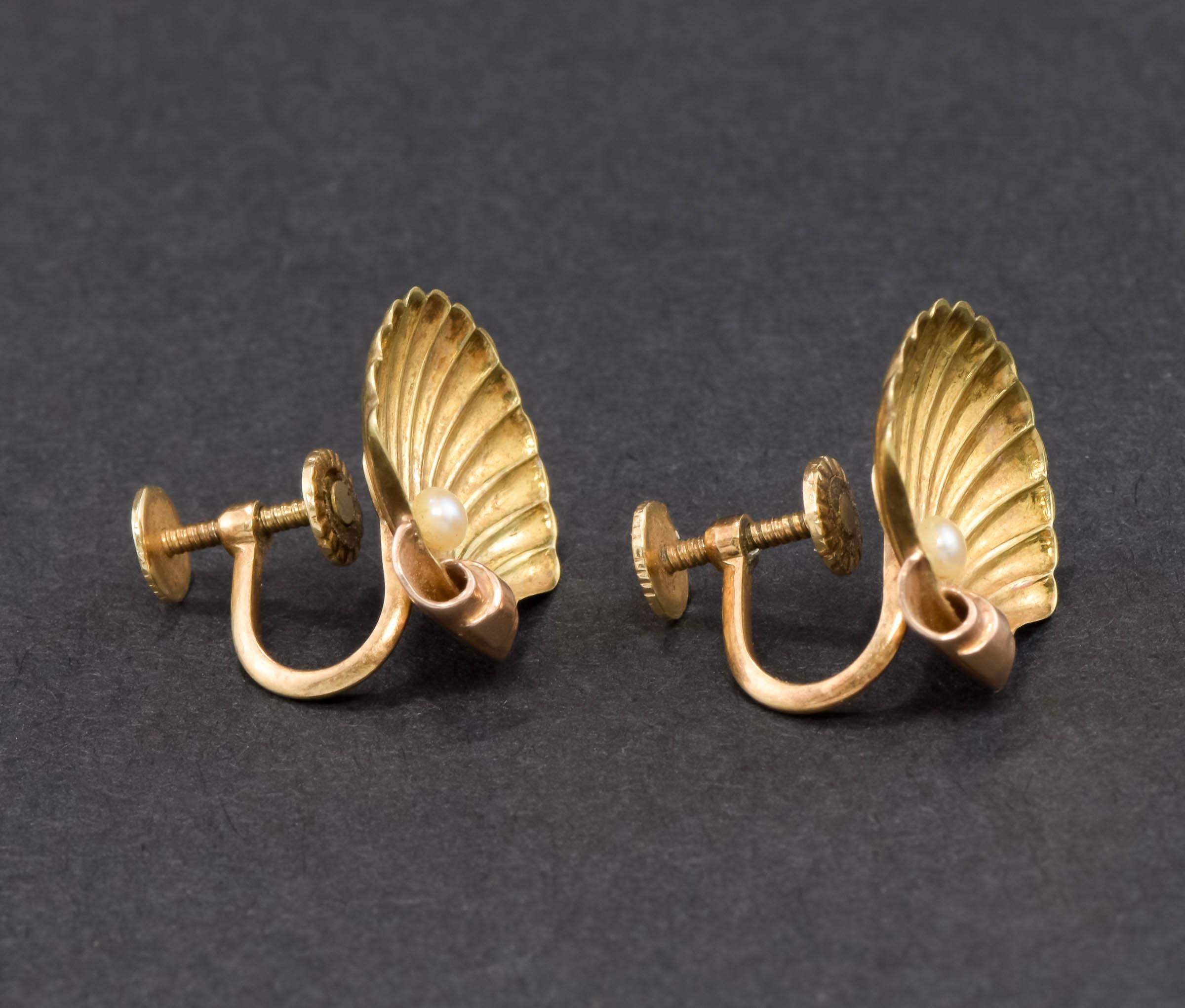 Antike 14K Gold Muschel-Ohrringe mit Perlen von Sloan & Co. Französisch Schraube zurück Stil (Art nouveau) im Angebot