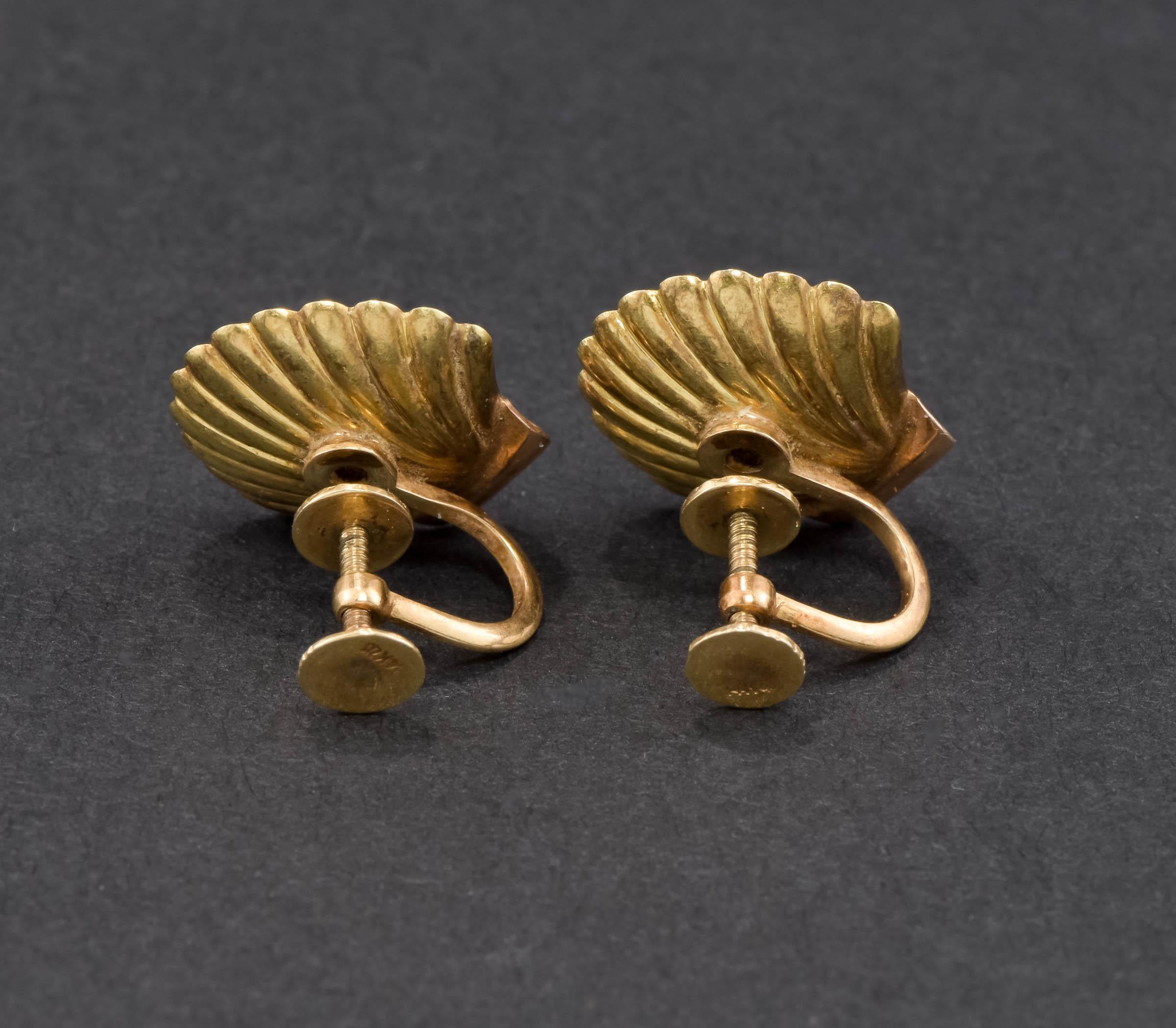 Women's Antique 14K Gold Shell Earrings w Pearls by Sloan & Co. French Screw Back Style For Sale